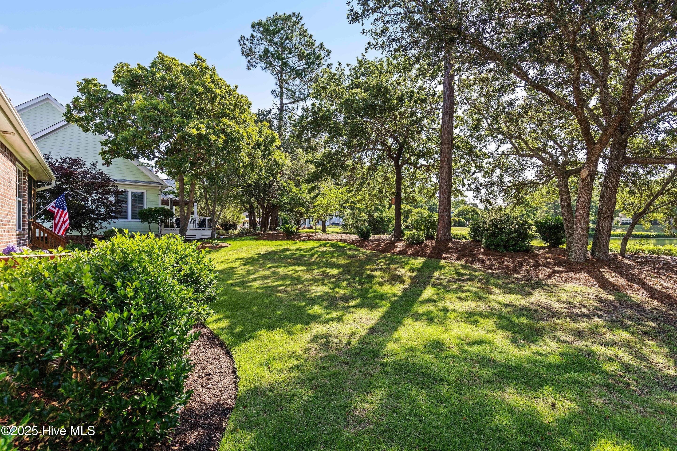 100514713 | Photo 61