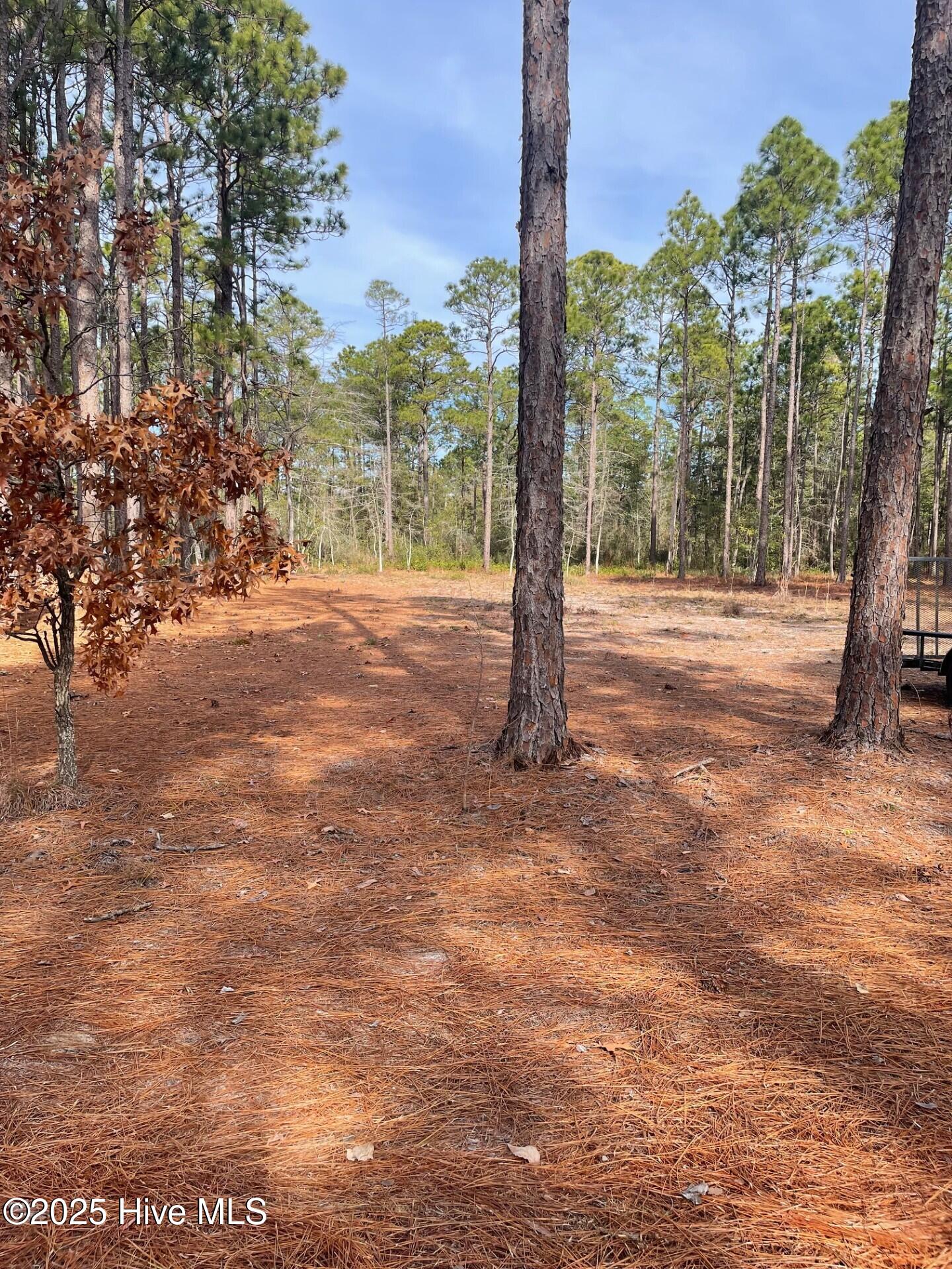 0 Marie, Lot 2 Marie Avenue, Midway, GA, 31320