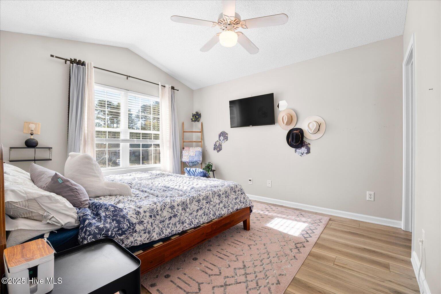 100536897 | Photo 24