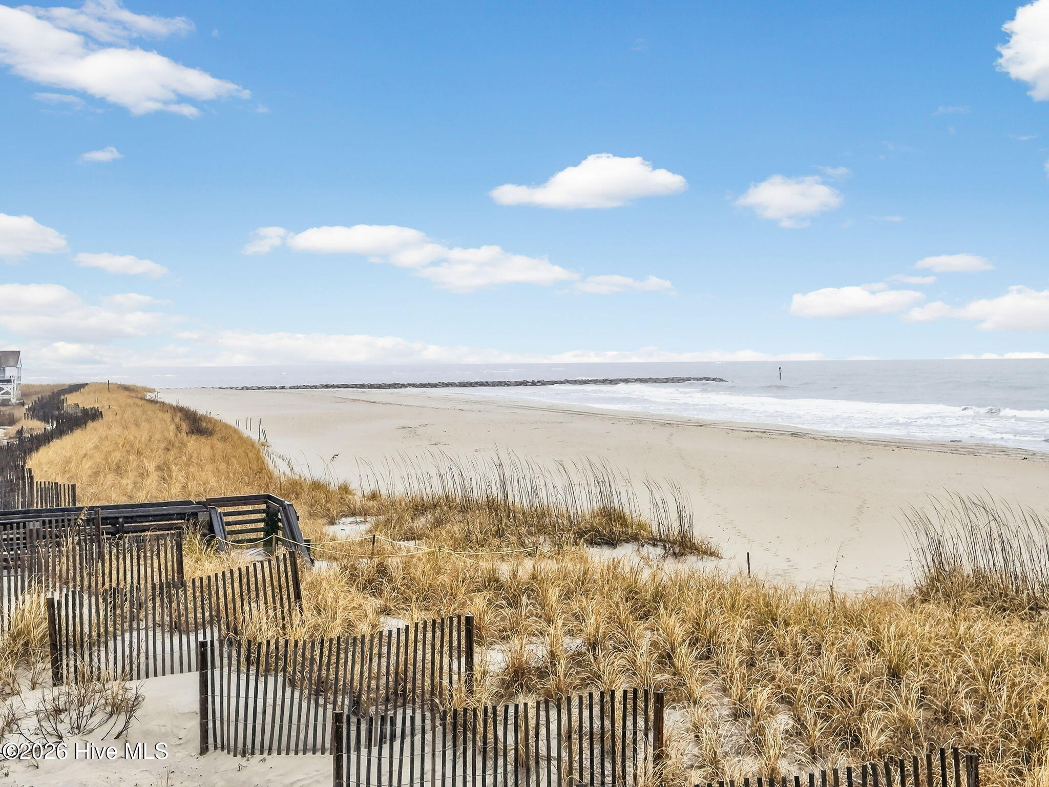 100558118 | Photo 45