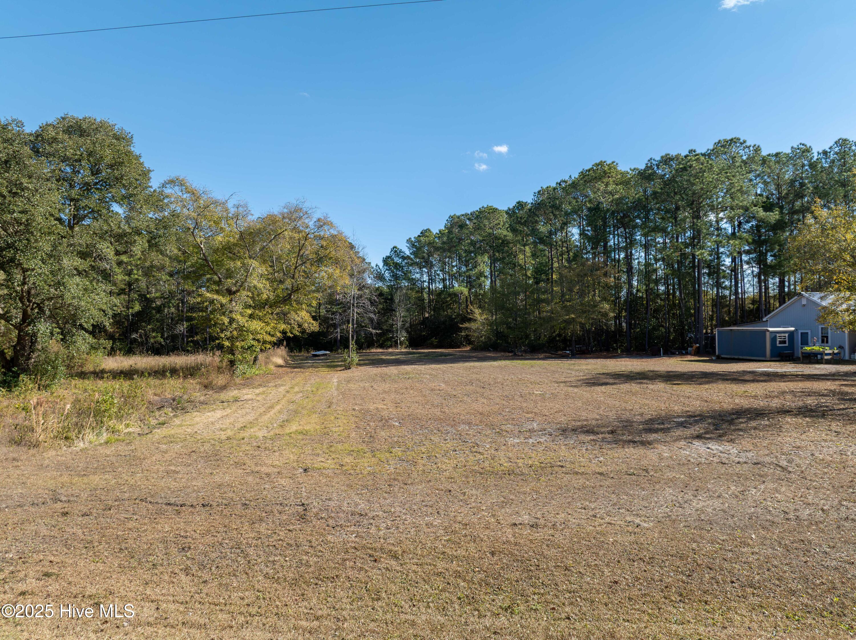 100545441 | Photo 10