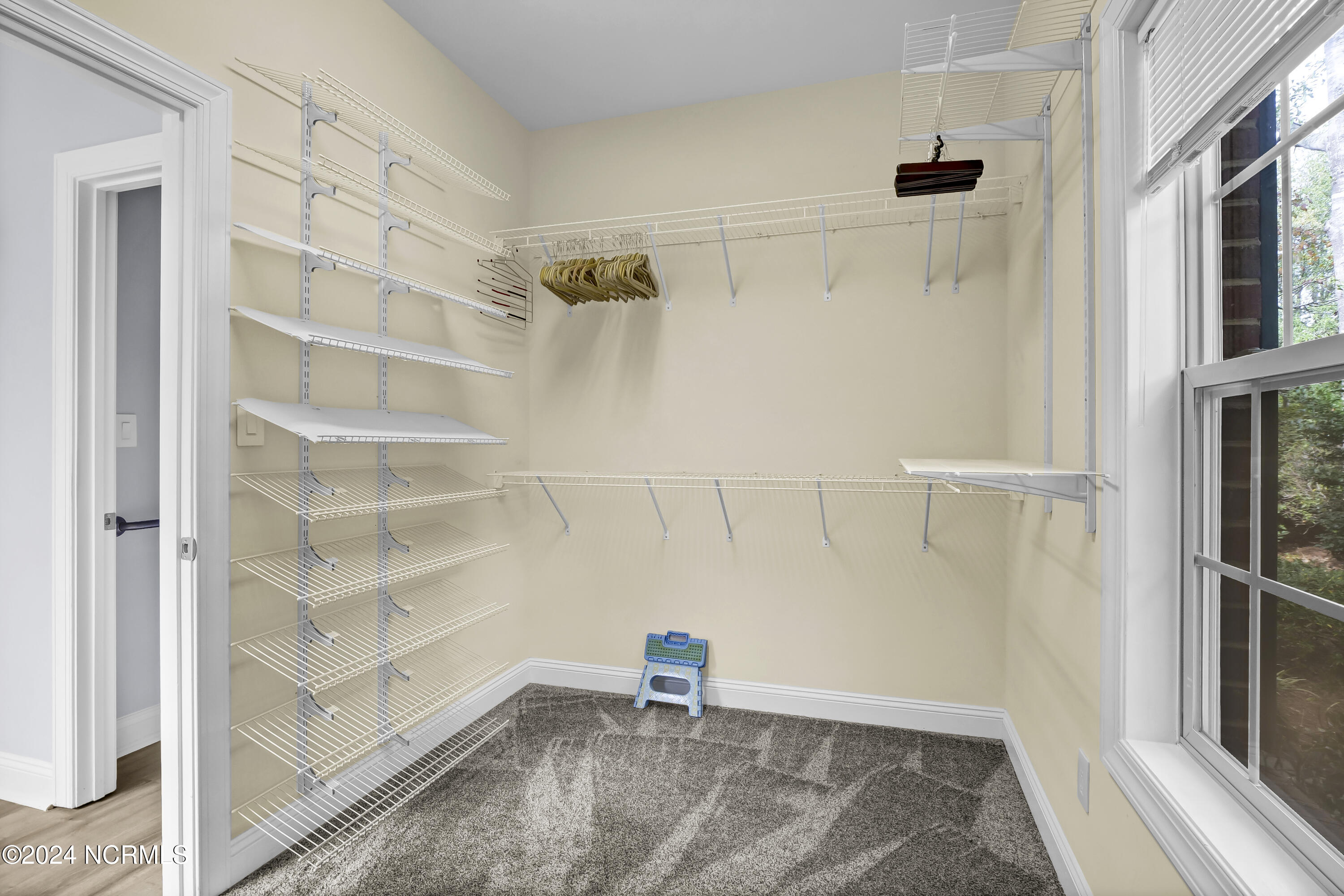 100567589 | Photo 19