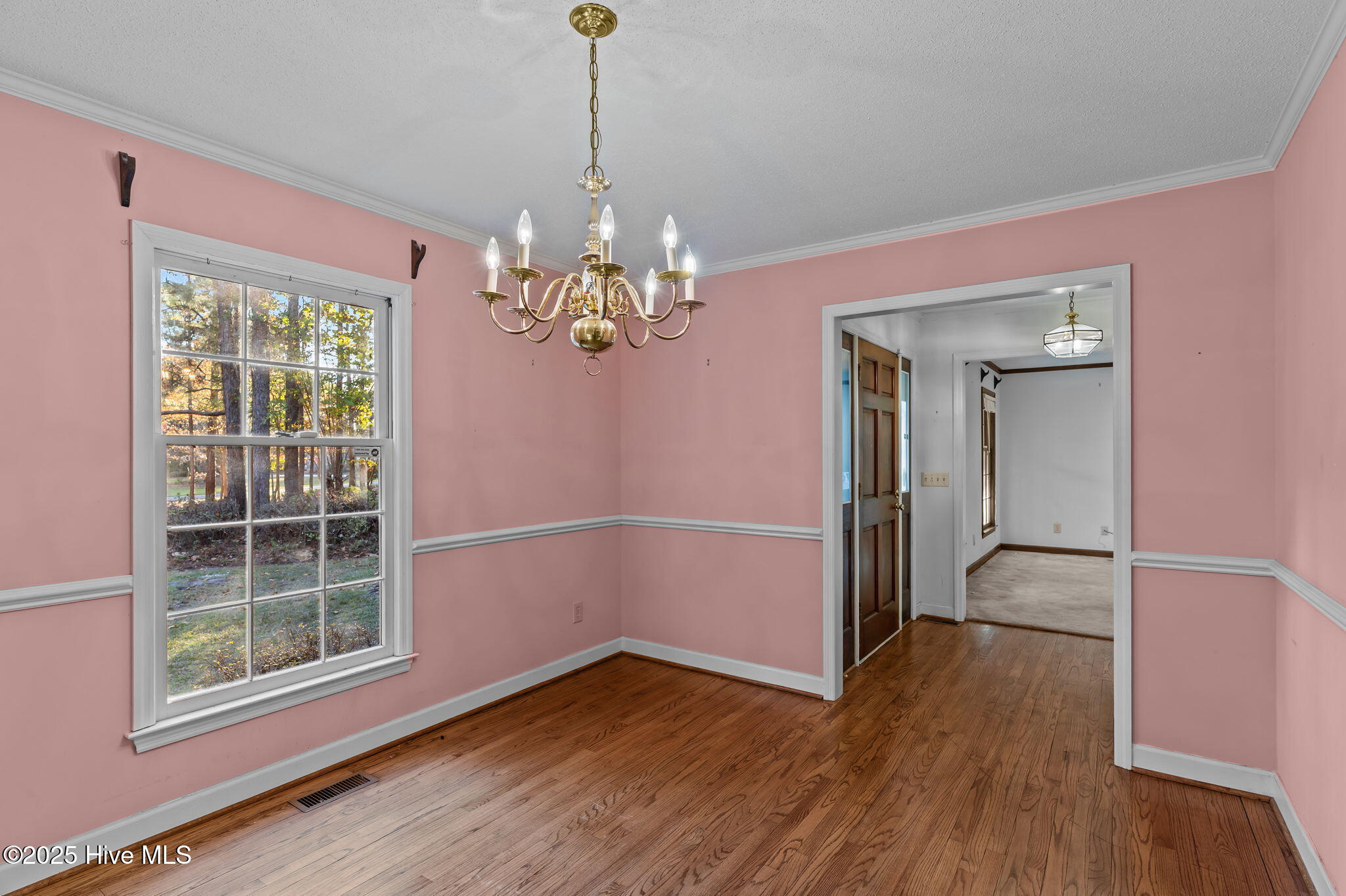 100540294 | Photo 12