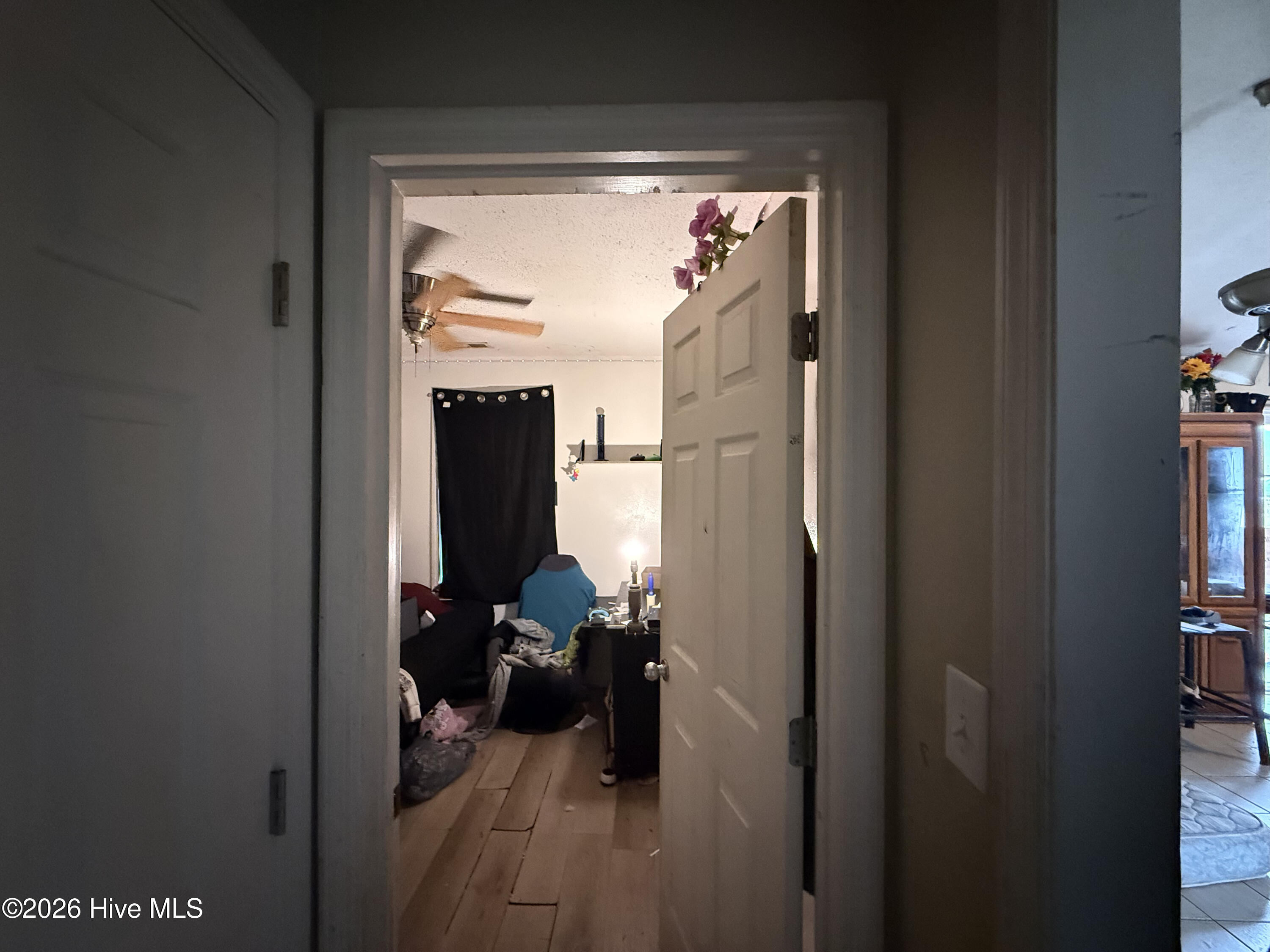 100562239 | Photo 41