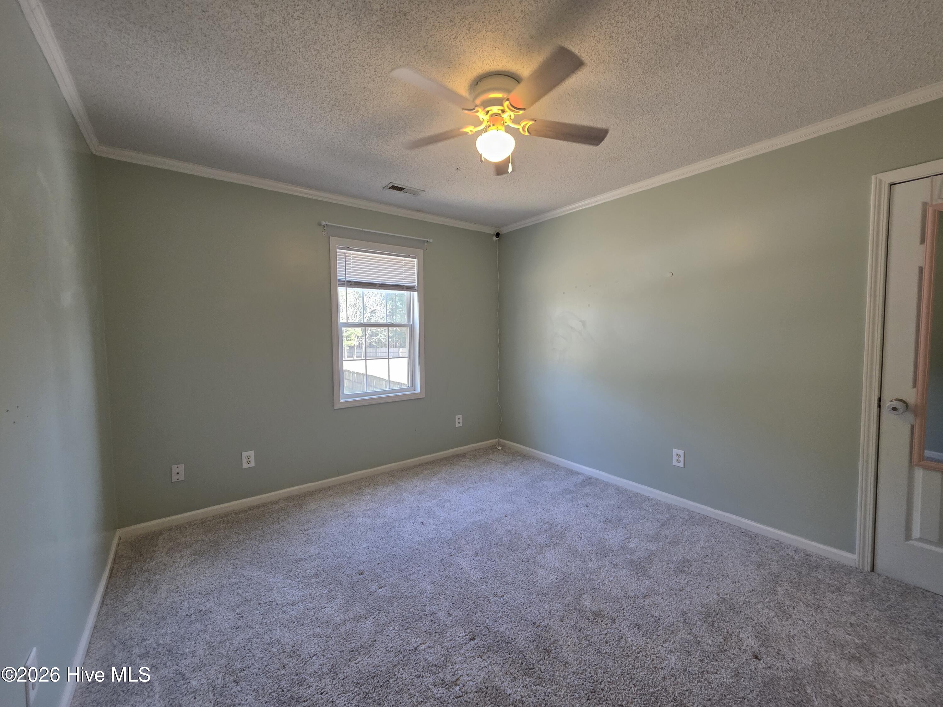 100553937 | Photo 15