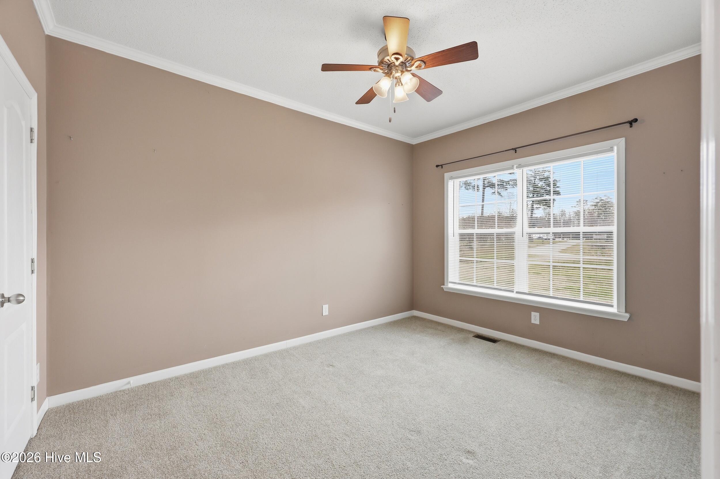 115 Windsor Lane, Edenton, NC, 27932