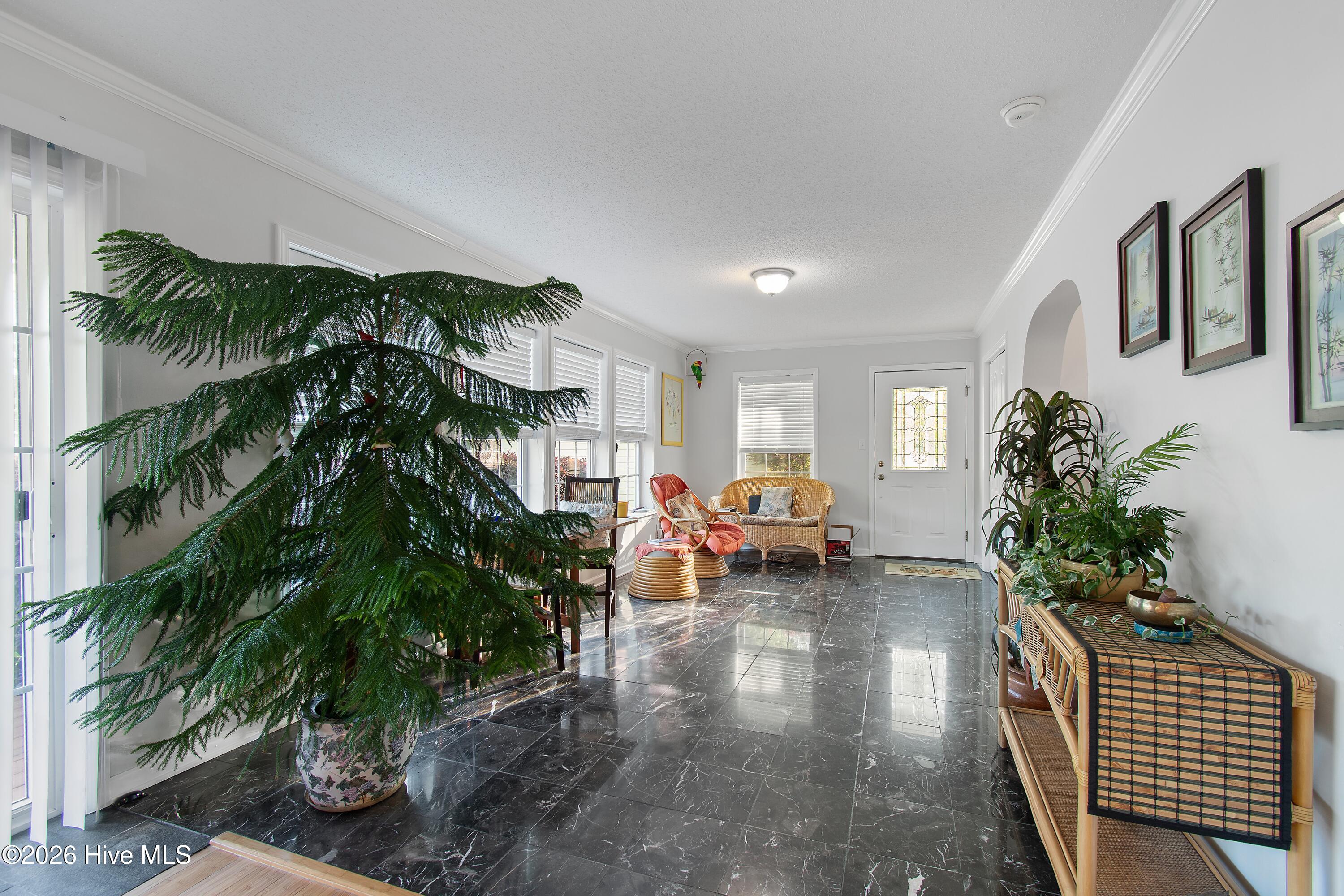 100568231 | Photo 24