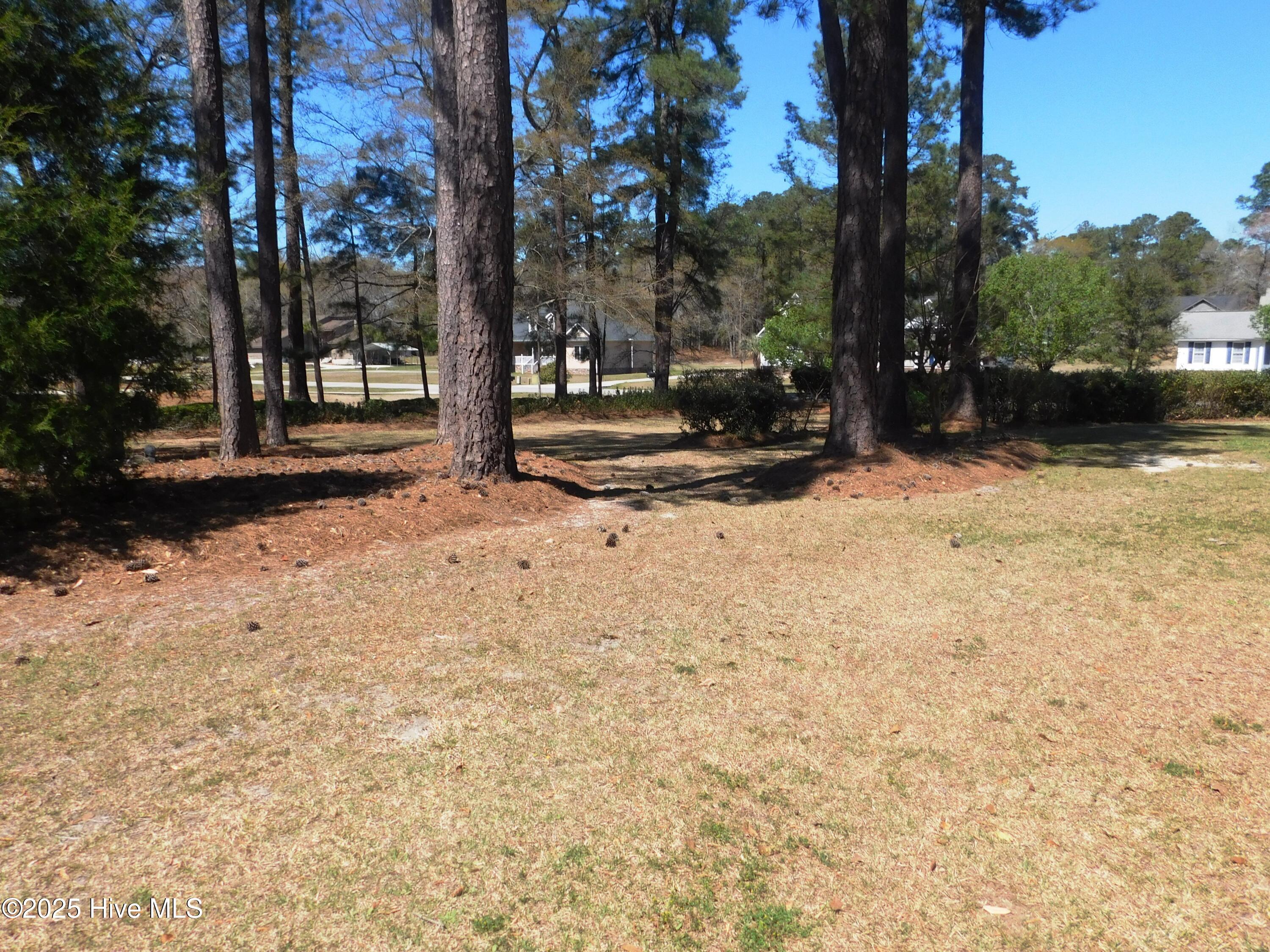 100429484 | Photo 24