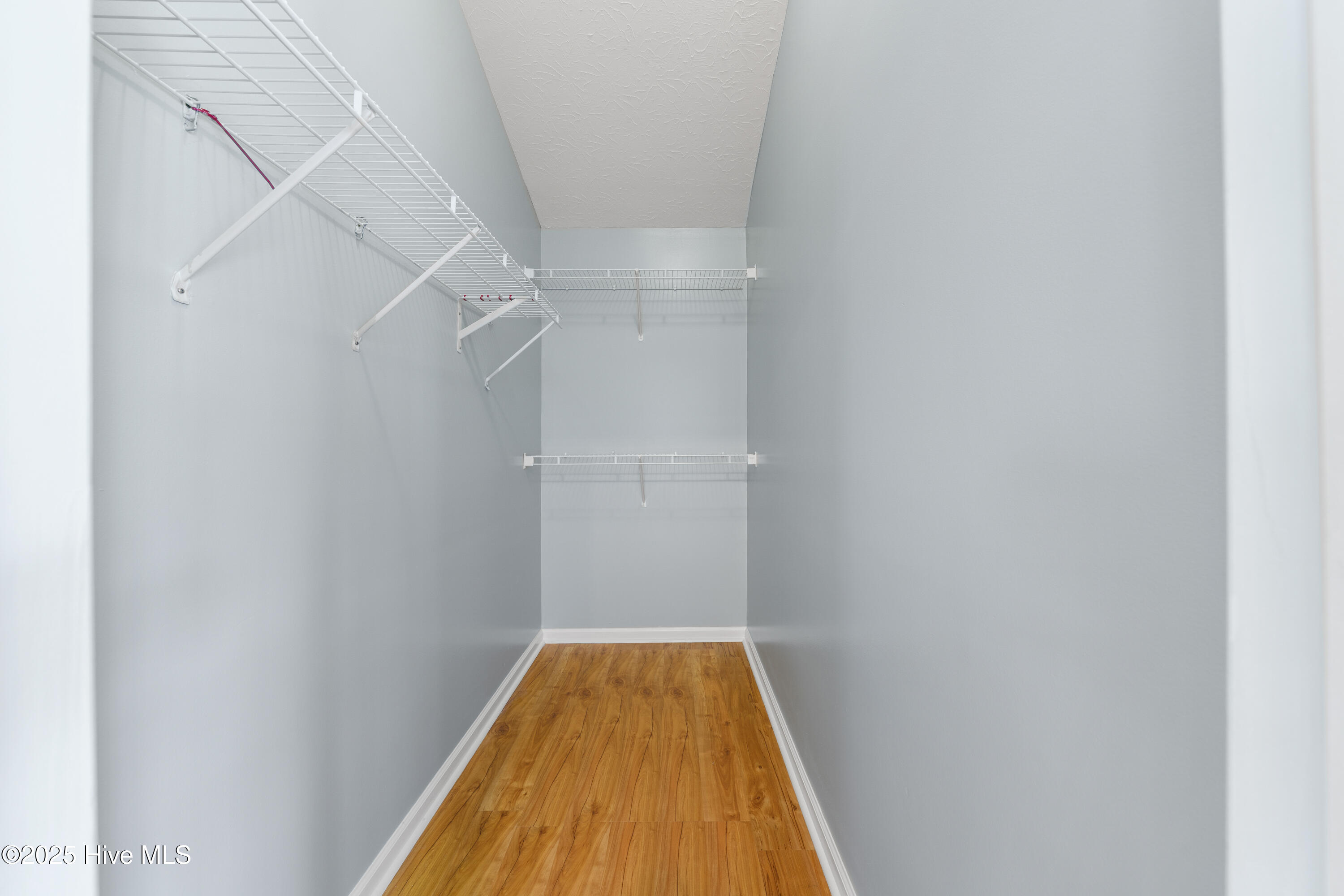 100531381 | Photo 24