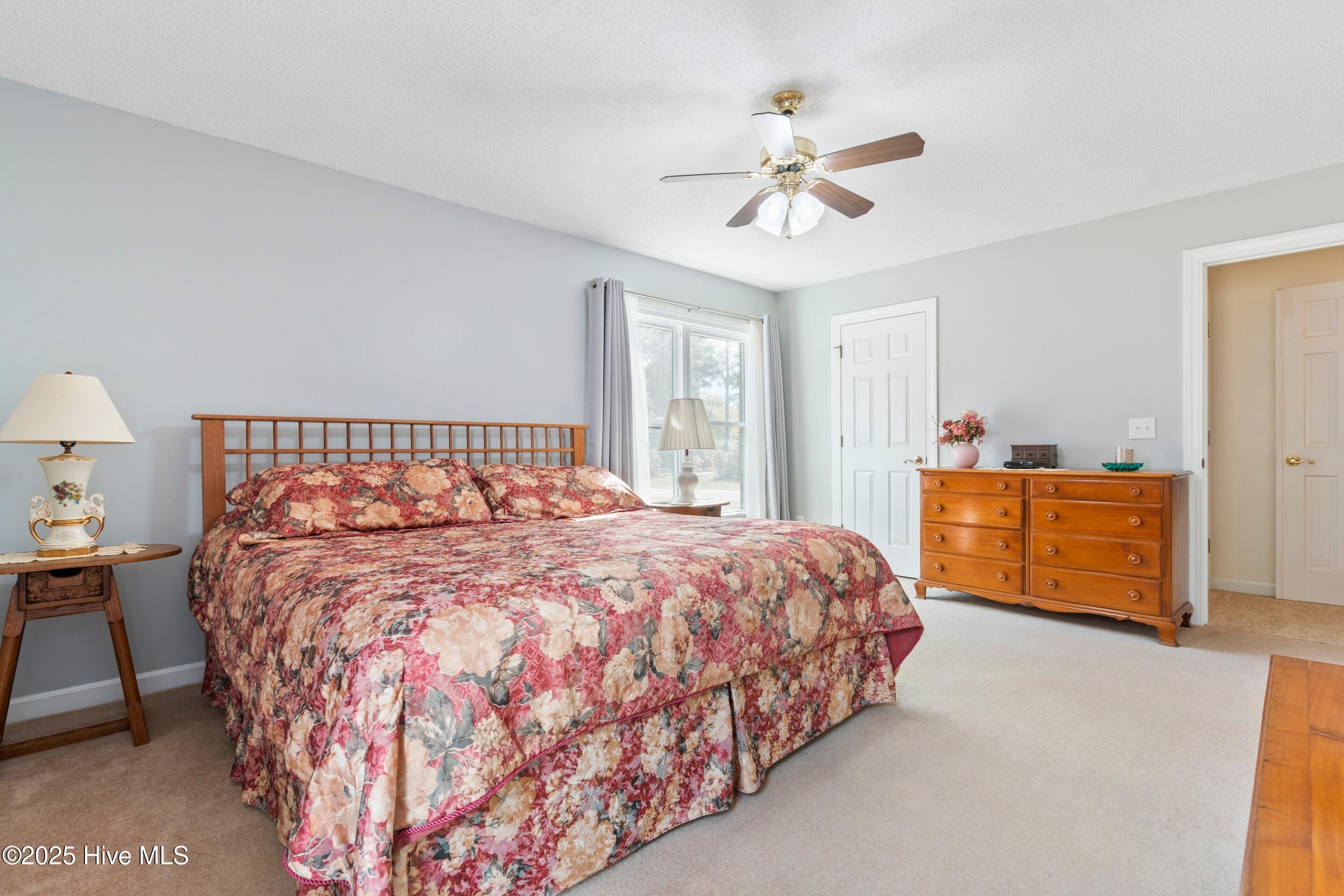 100539788 | Photo 16