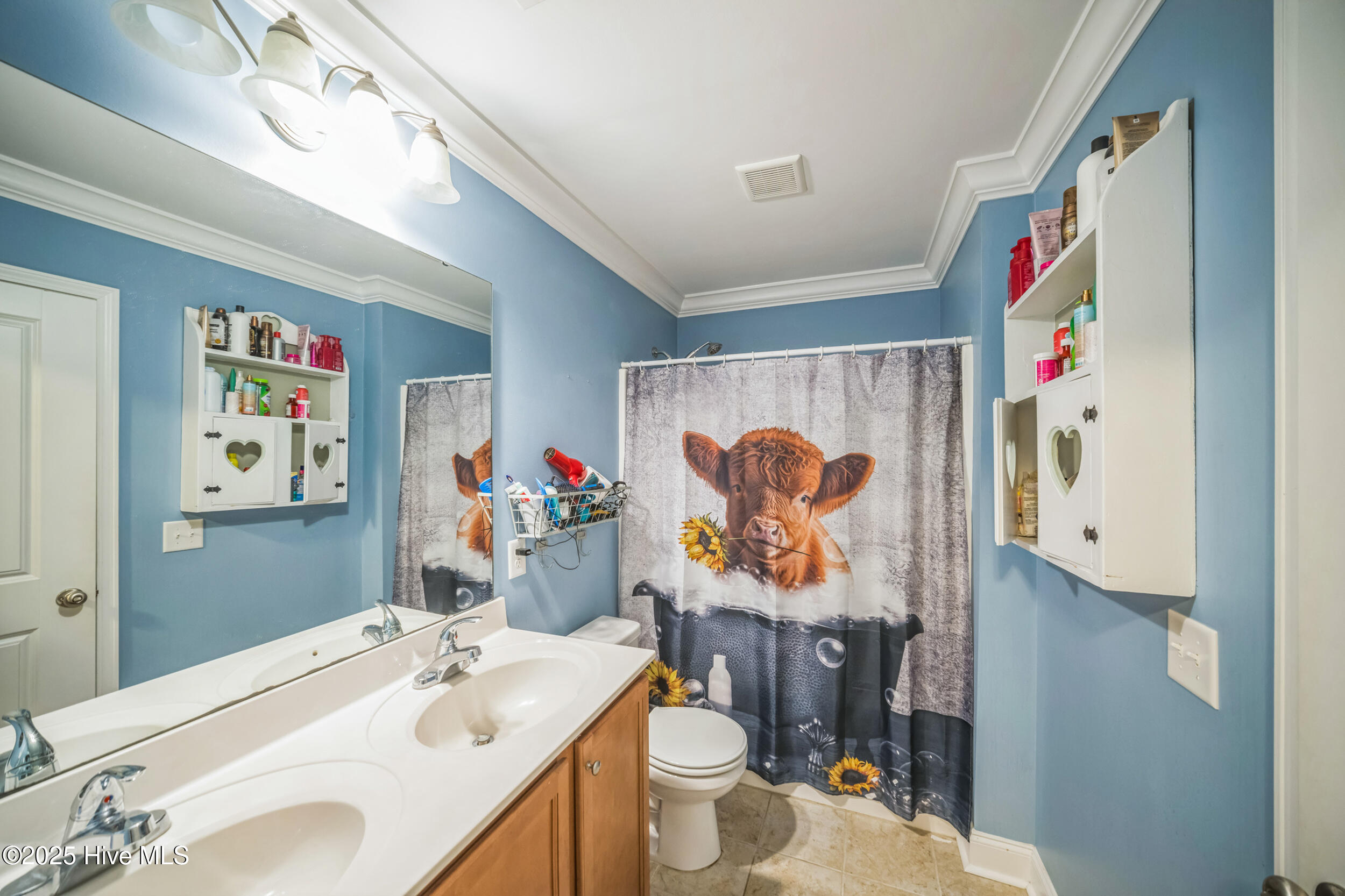 100517815 | Photo 17