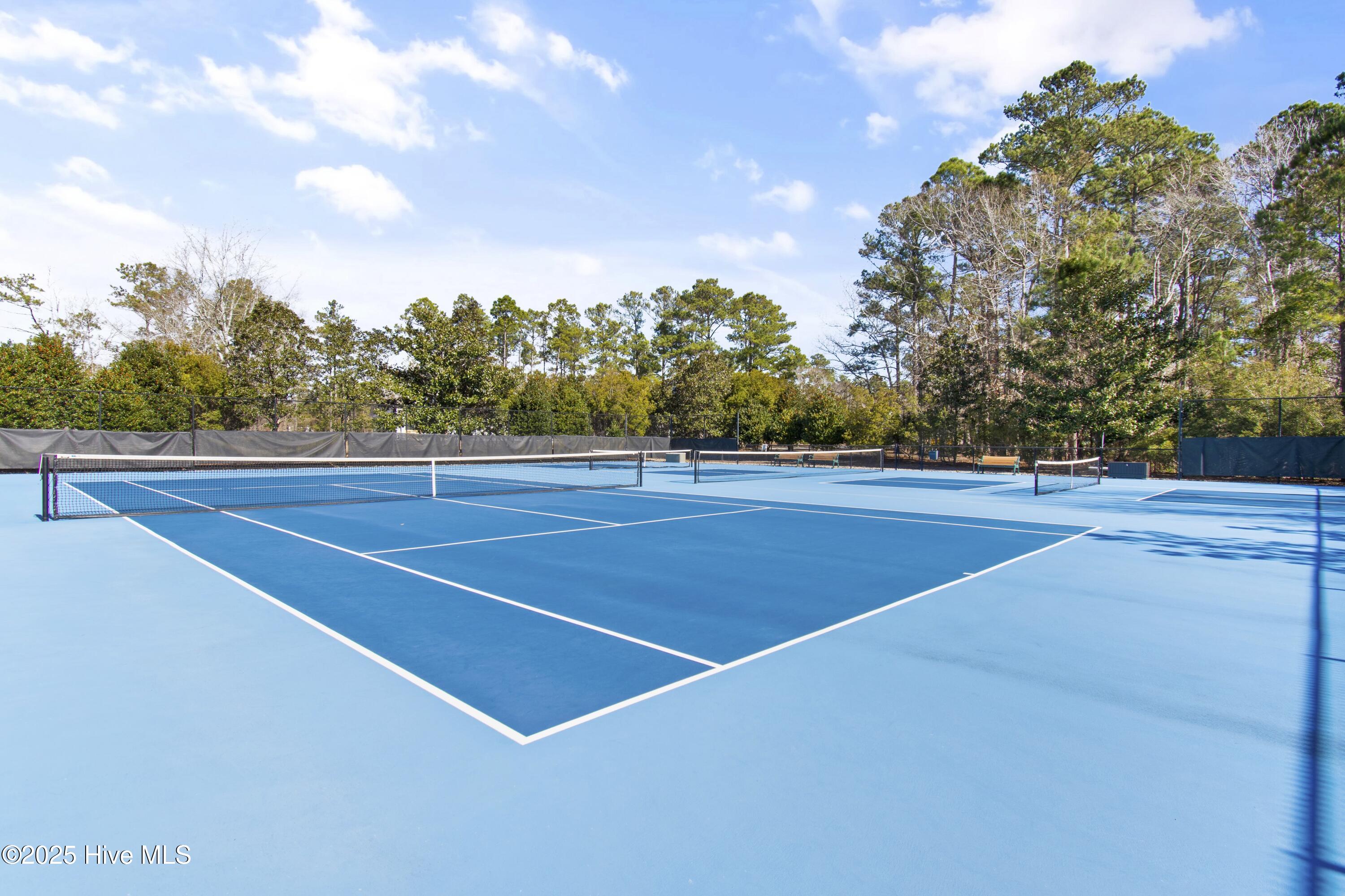 100520858 | Photo 19