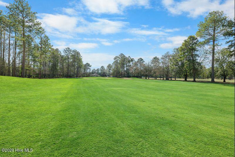 100548095 | Photo 69