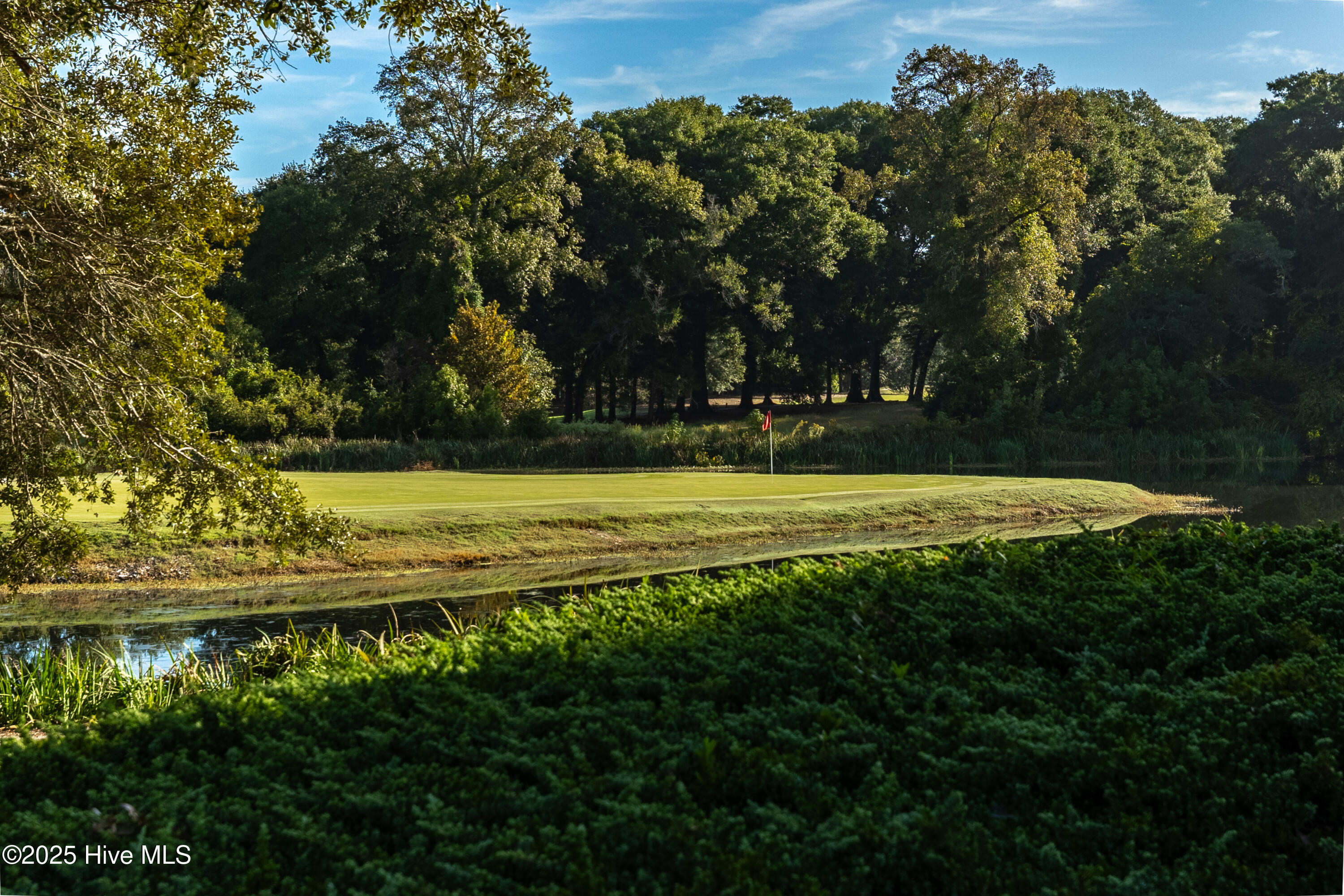 100535569 | Photo 33