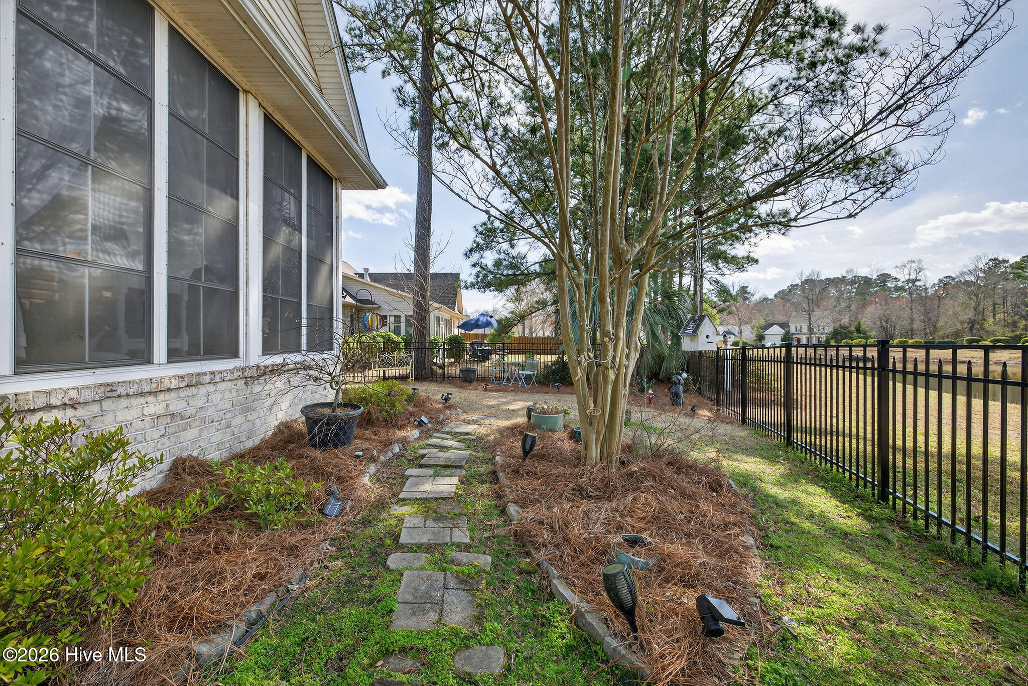 100558563 | Photo 16