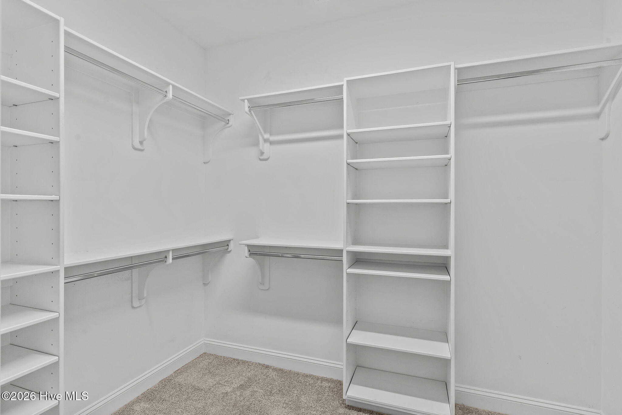 100548771 | Photo 26