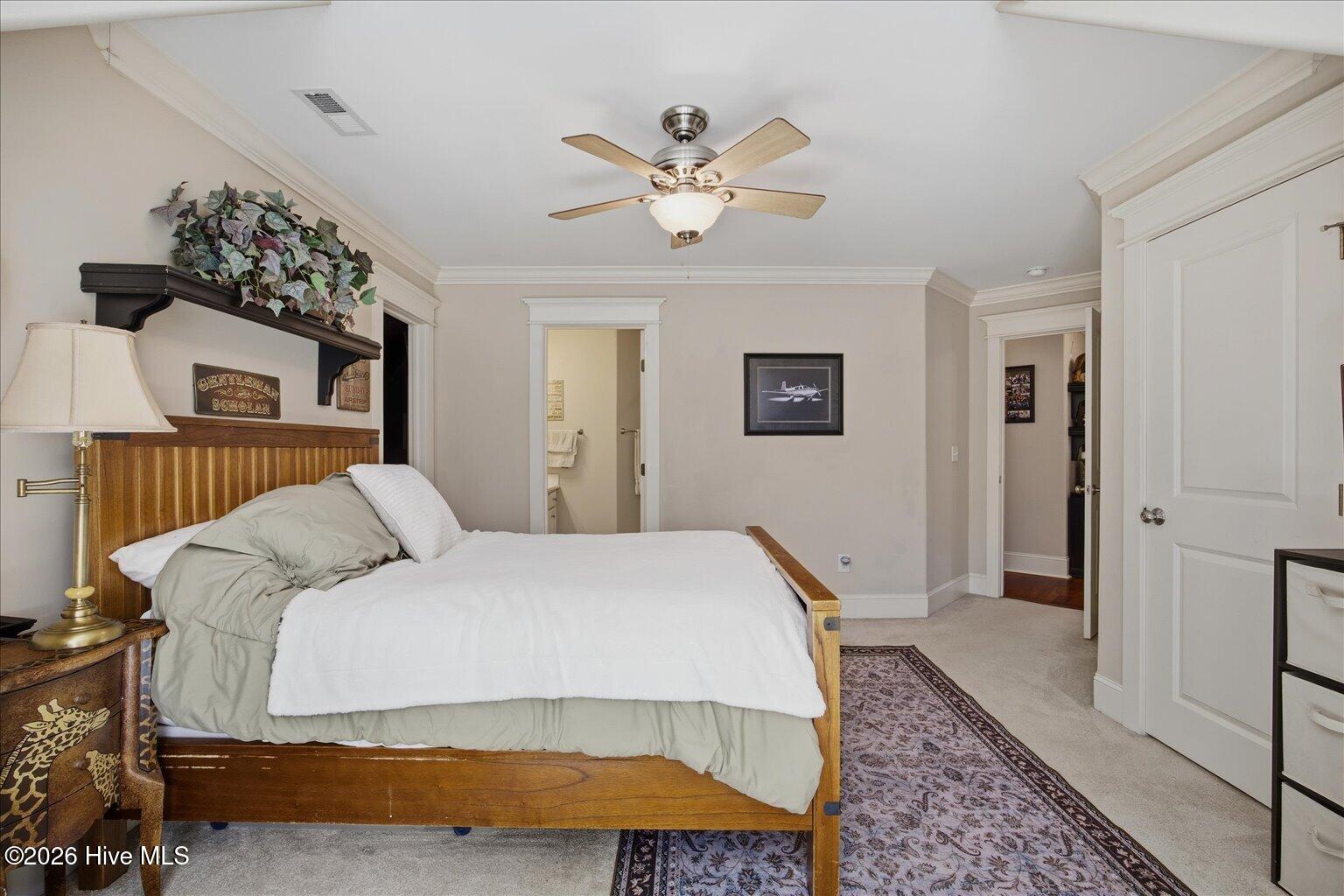 100564317 | Photo 30