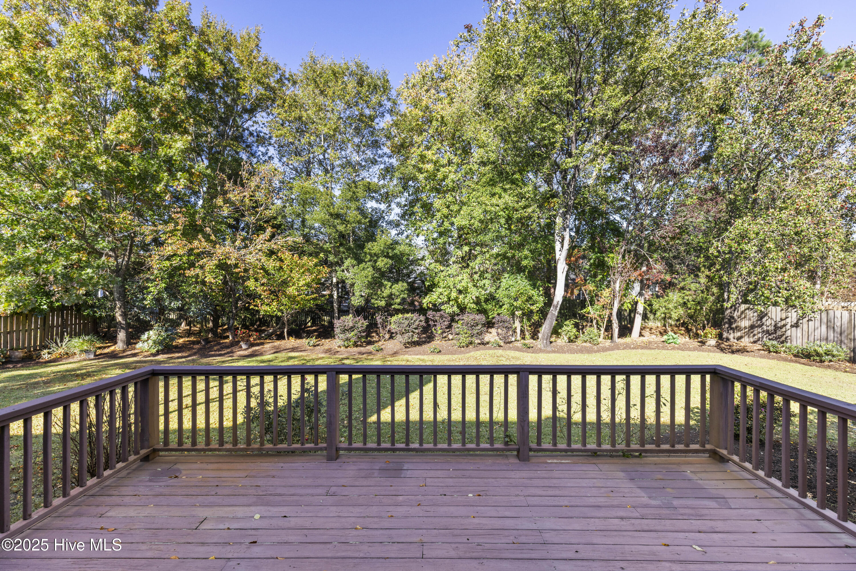 100539771 | Photo 43