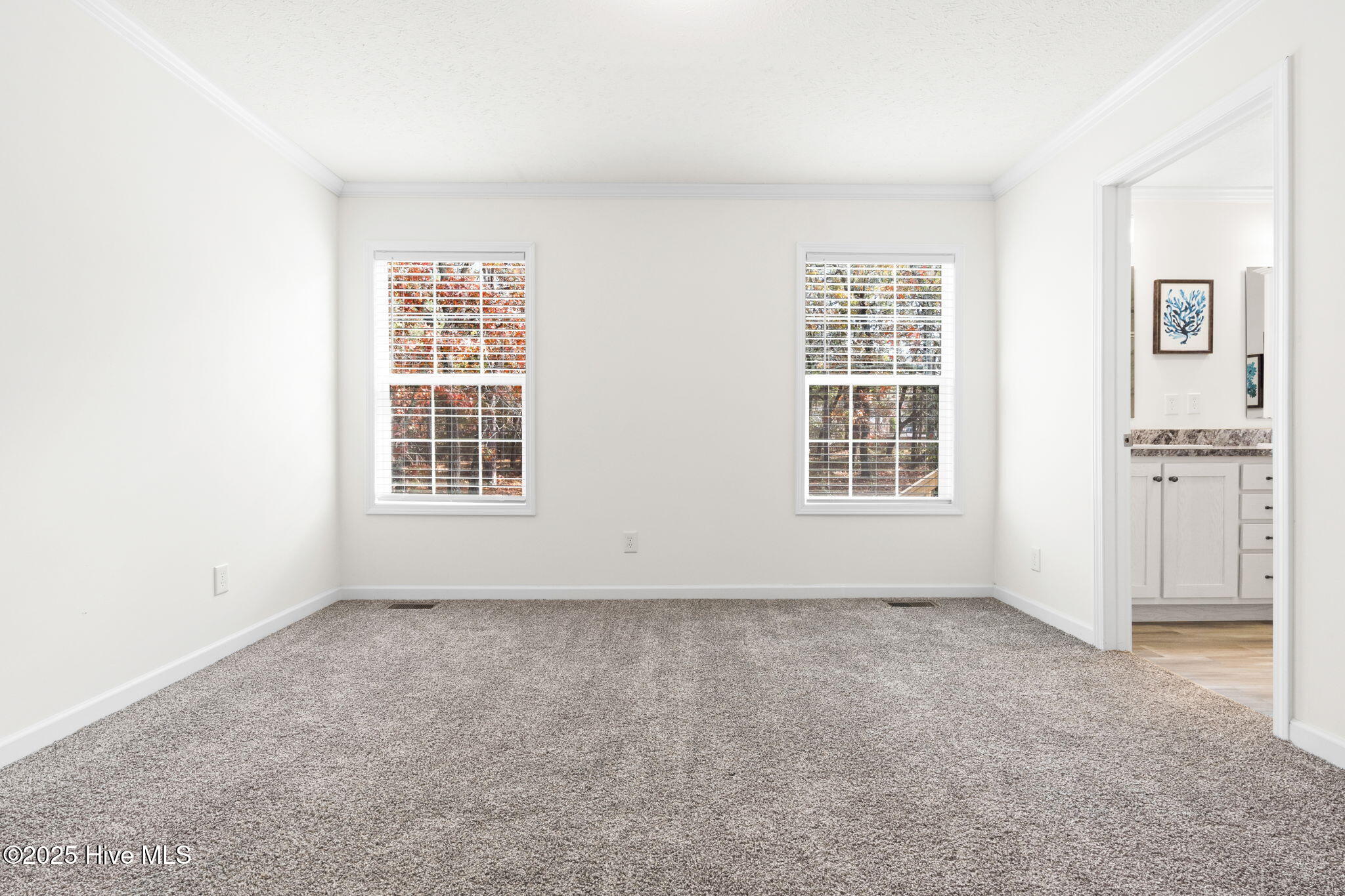 100542585 | Photo 15