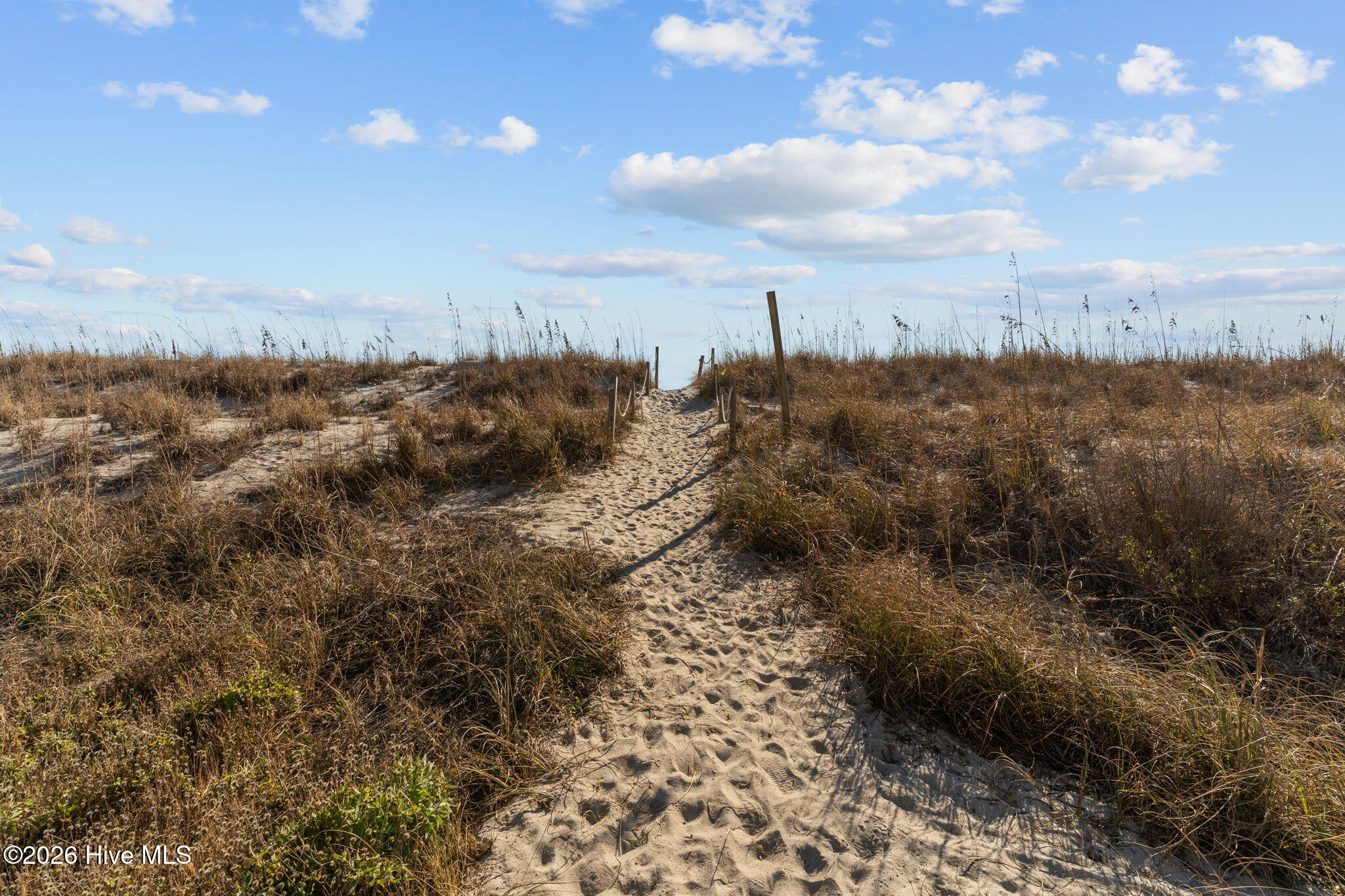 100547503 | Photo 45