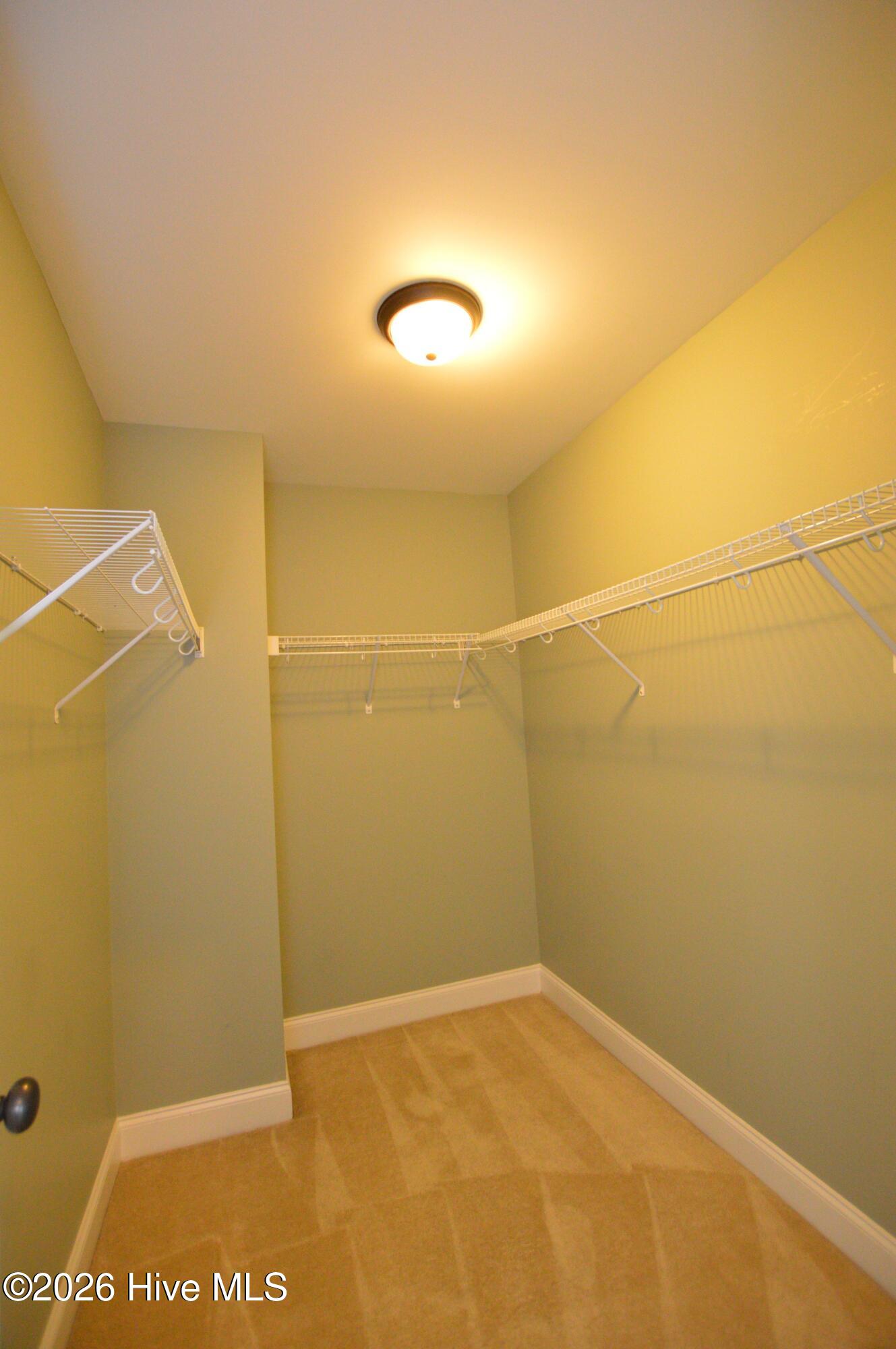 100568585 | Photo 33