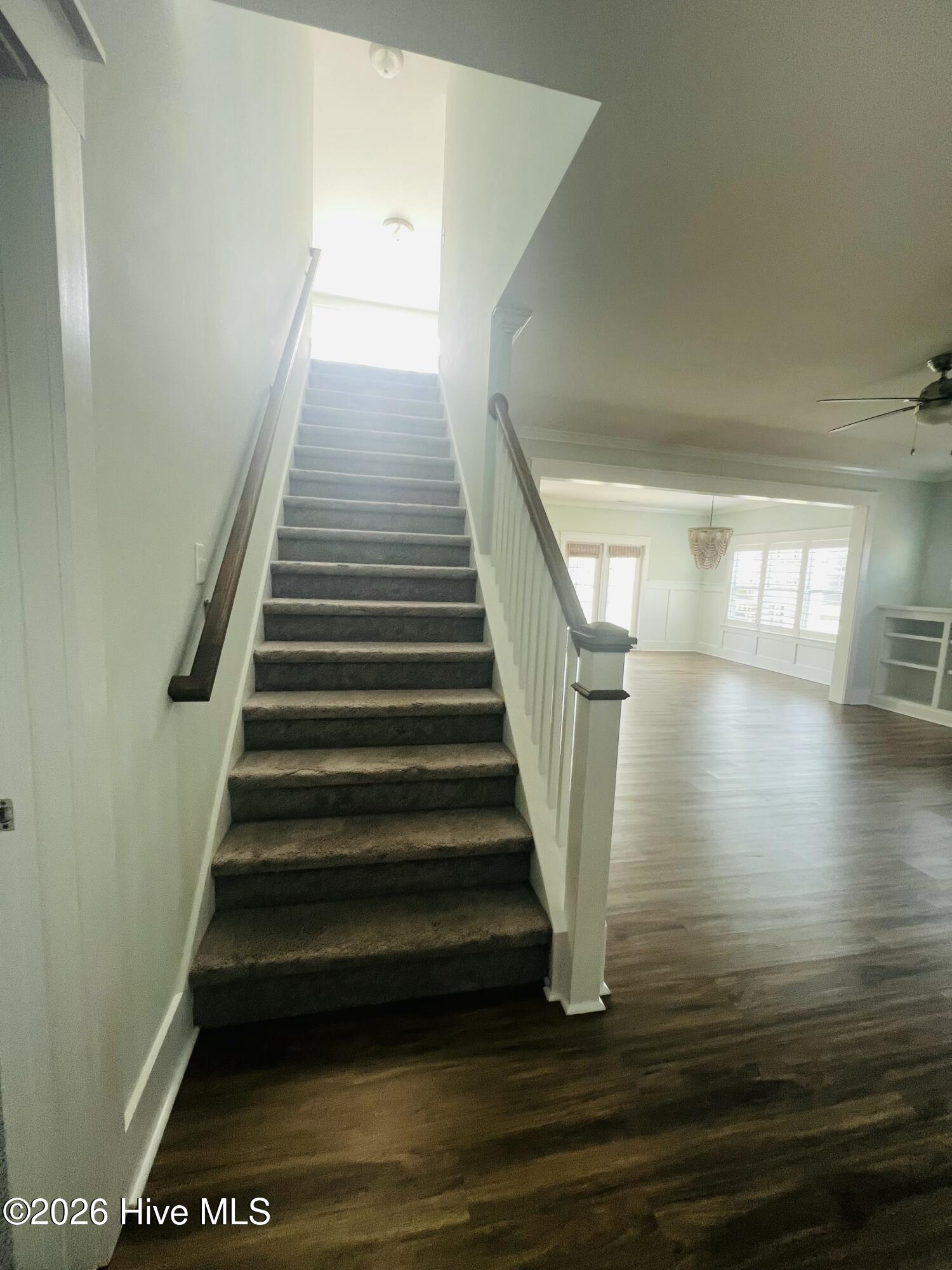 100559549 | Photo 23