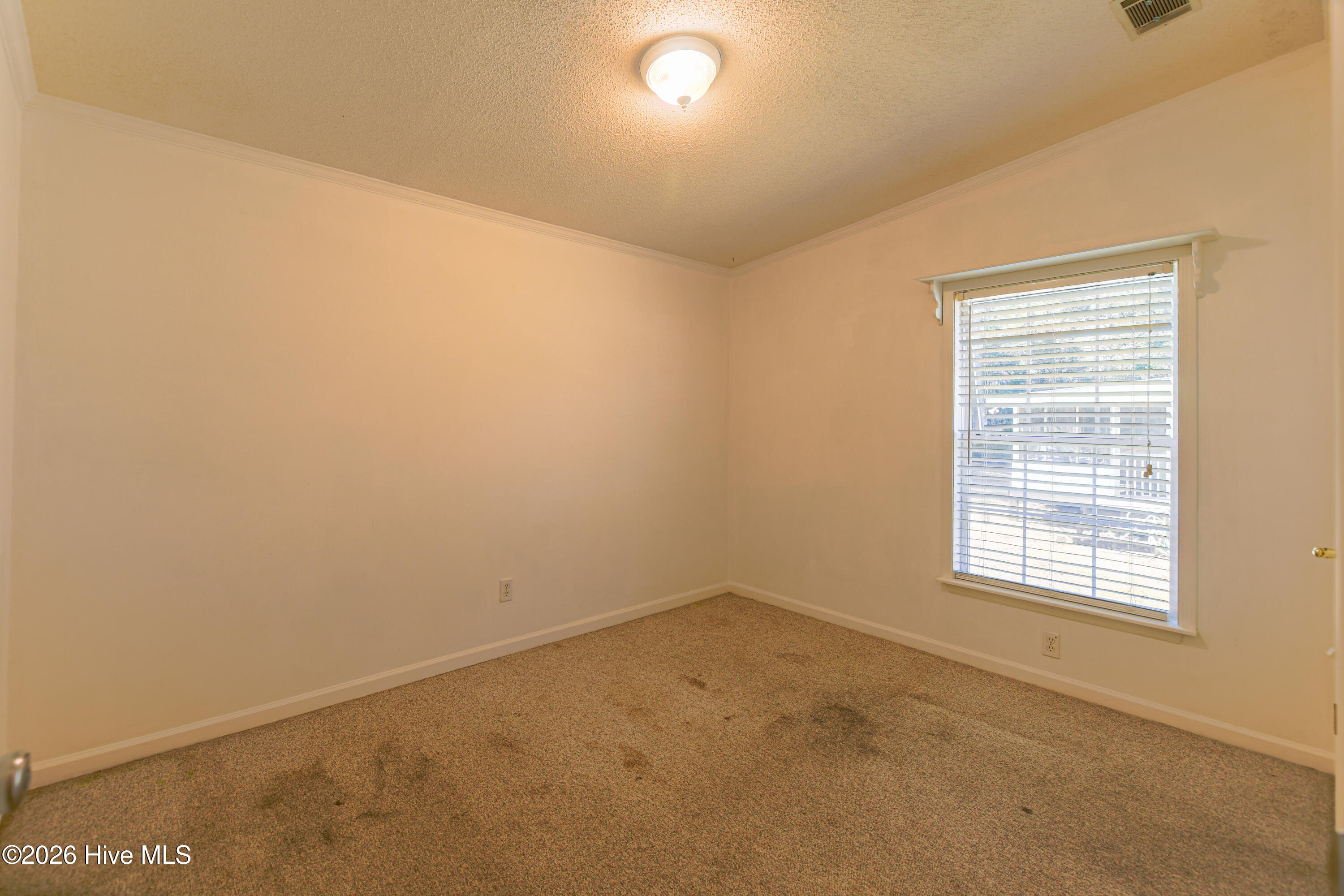 100559340 | Photo 12