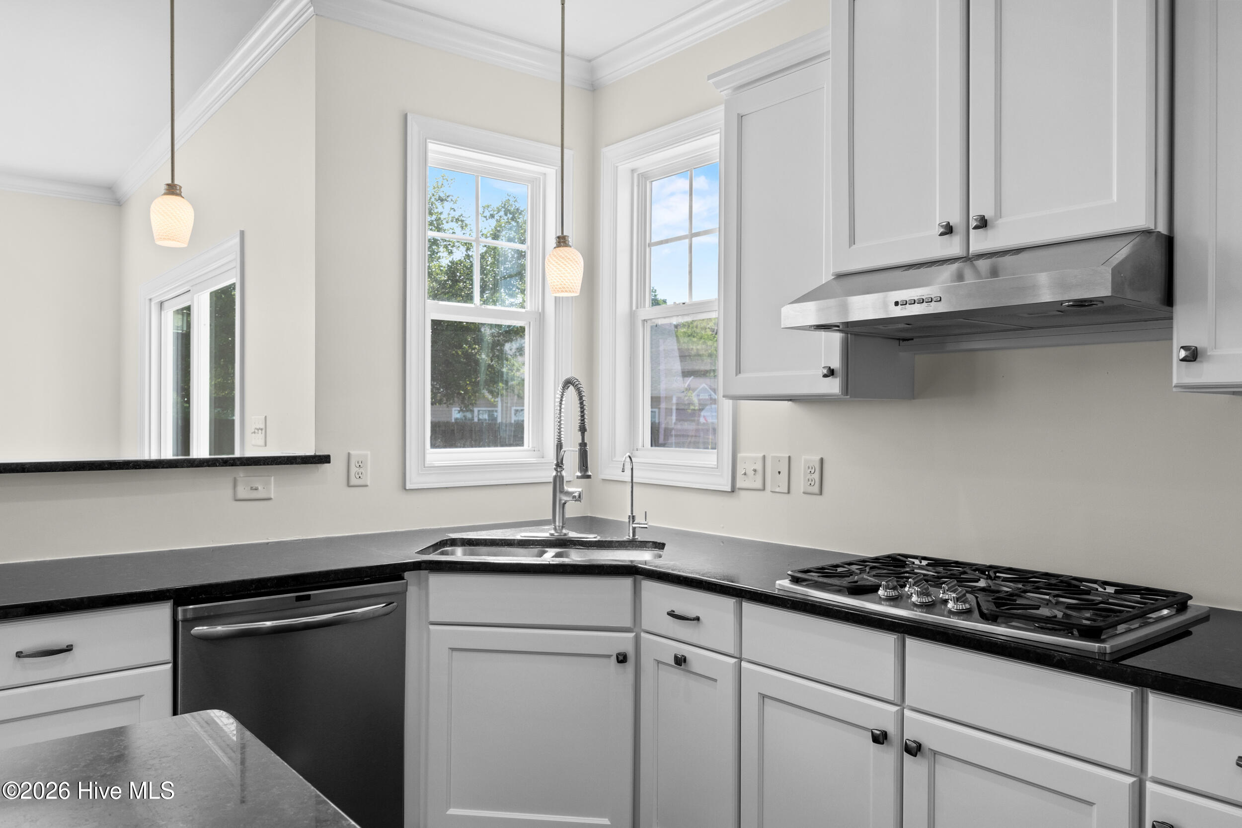 100568241 | Photo 27