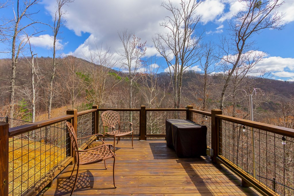 View from deck