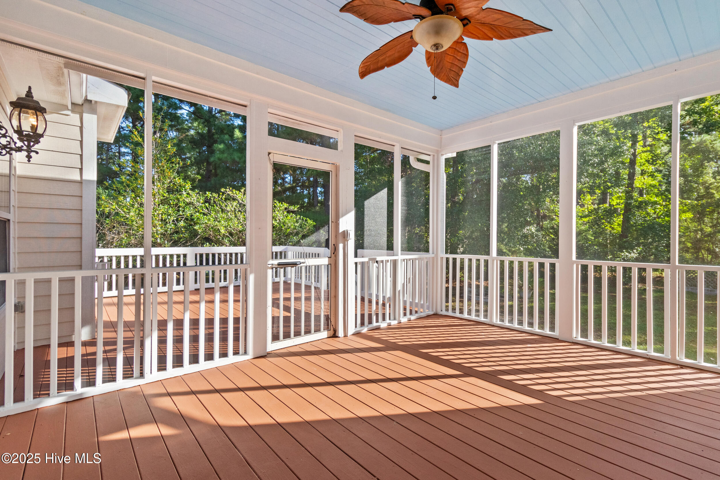 100534384 | Photo 39