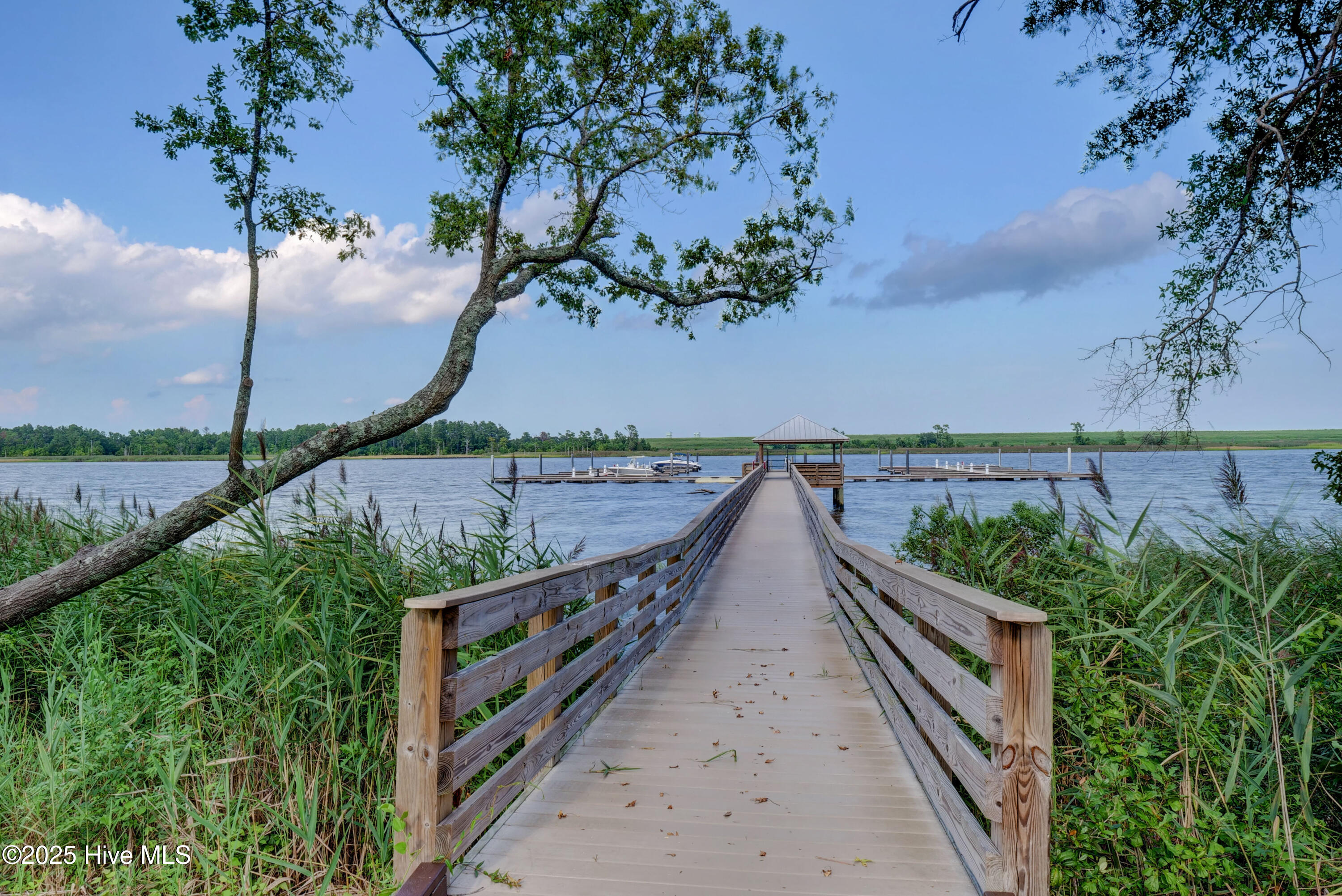 100543759 | Photo 23