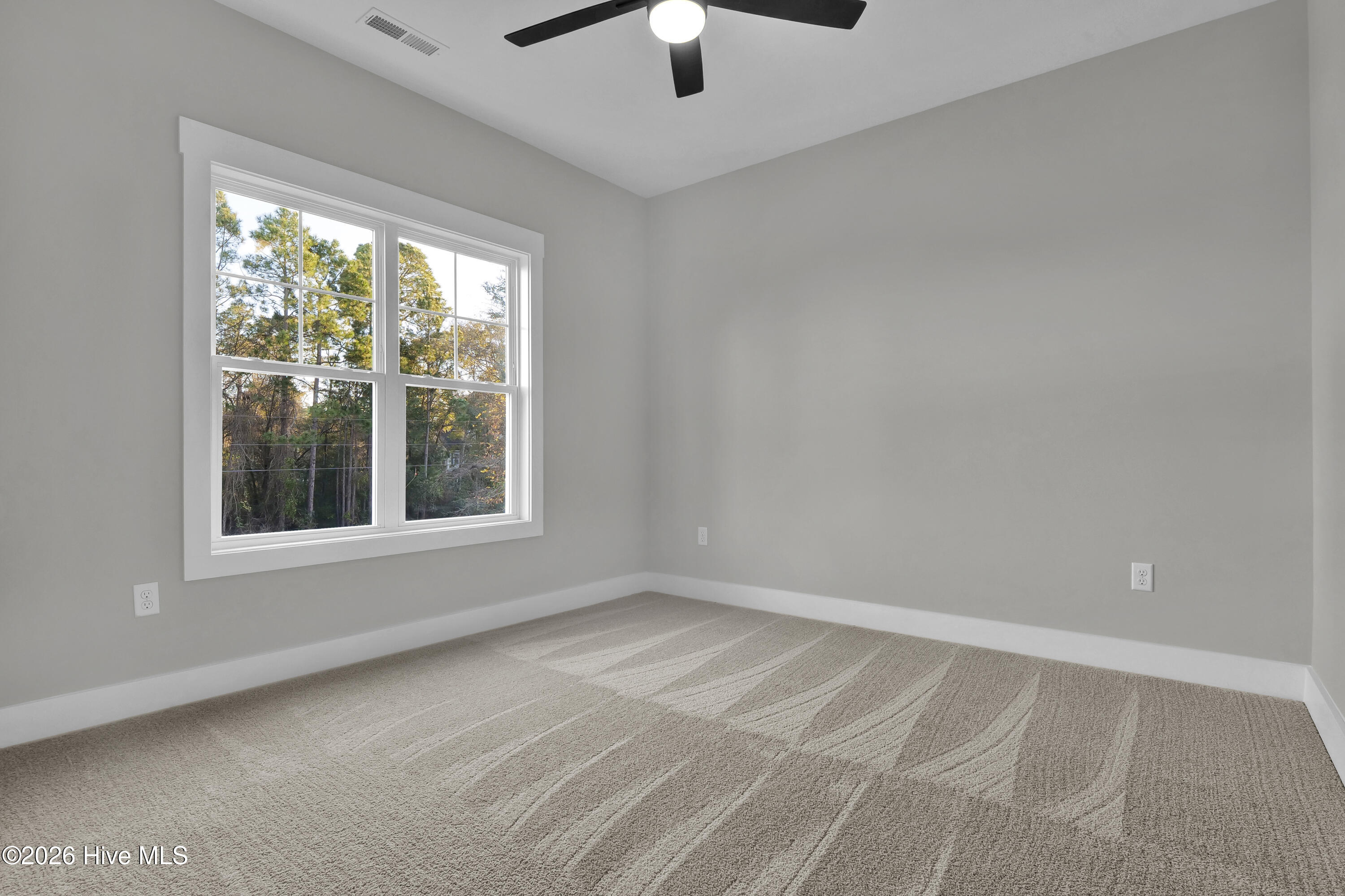 100550236 | Photo 30