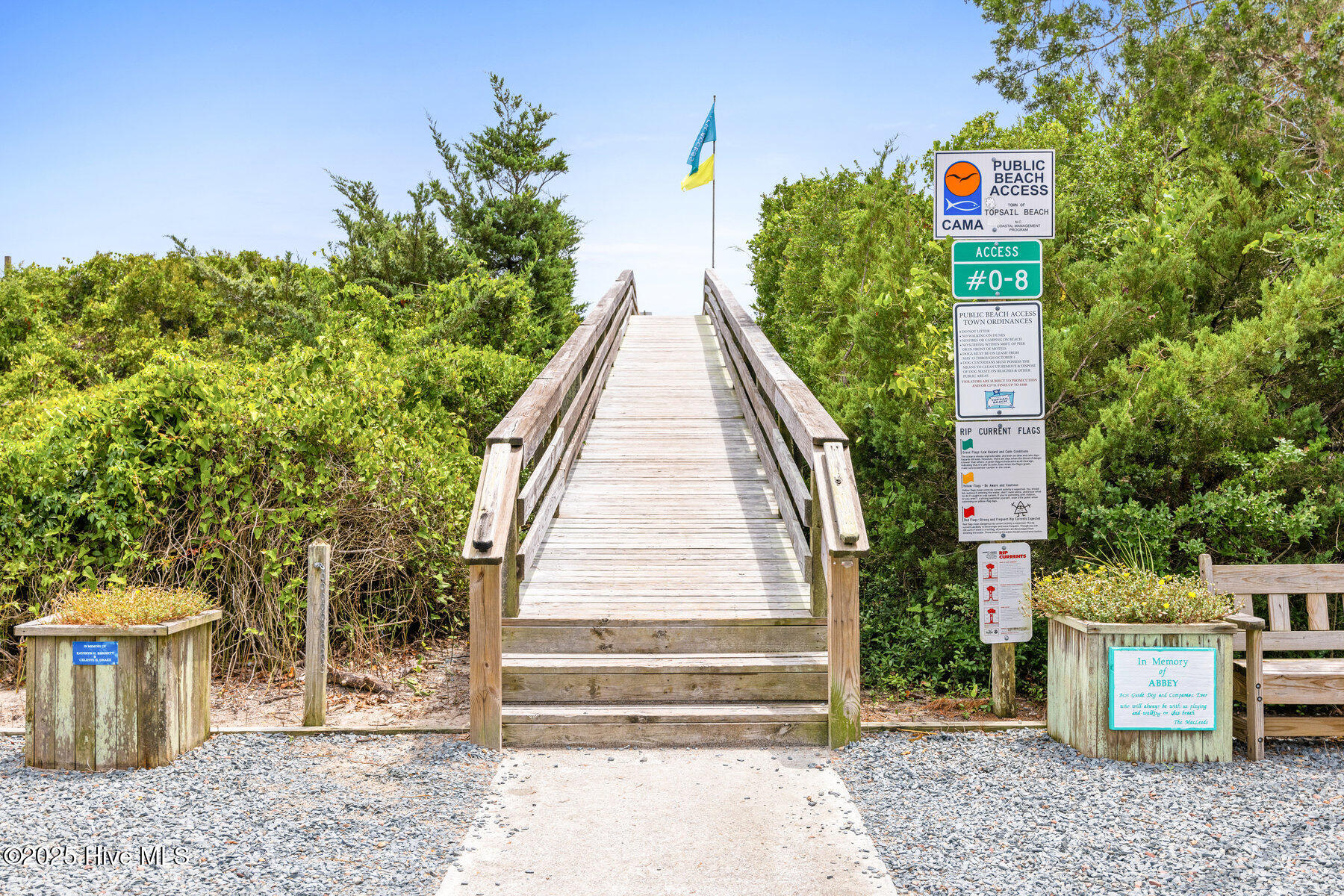 100523627 | Photo 64