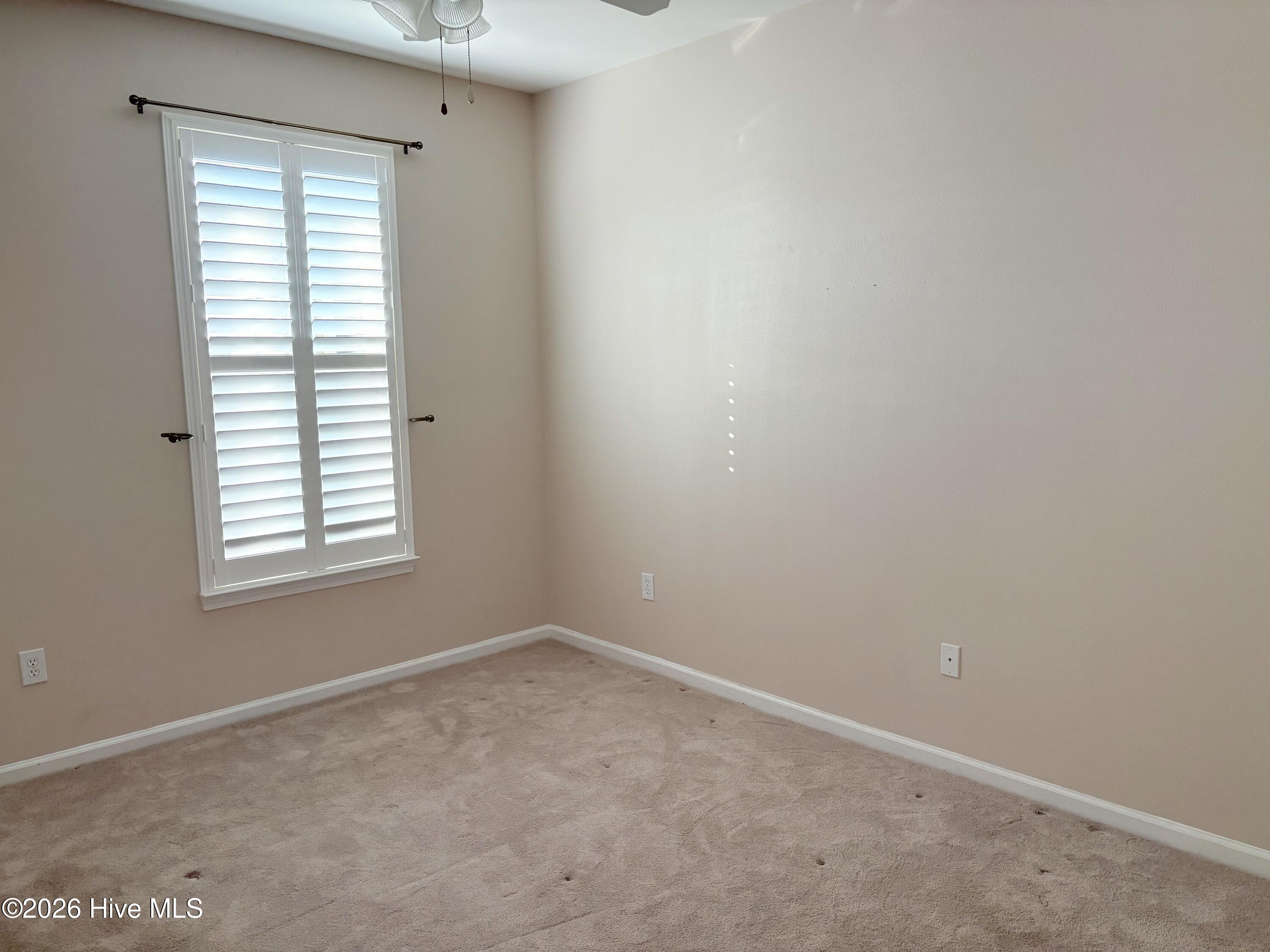 100567437 | Photo 18