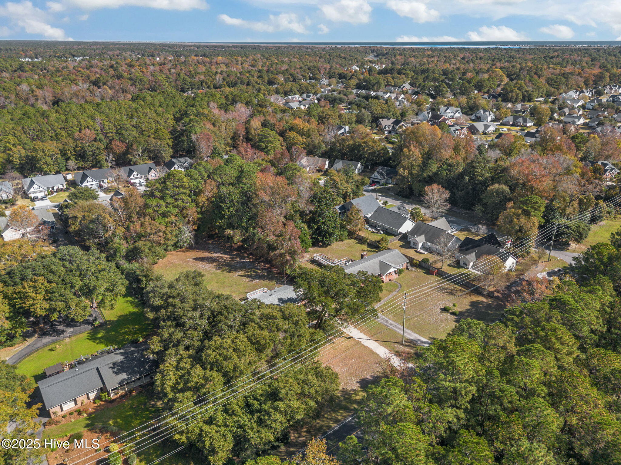 100540435 | Photo 46