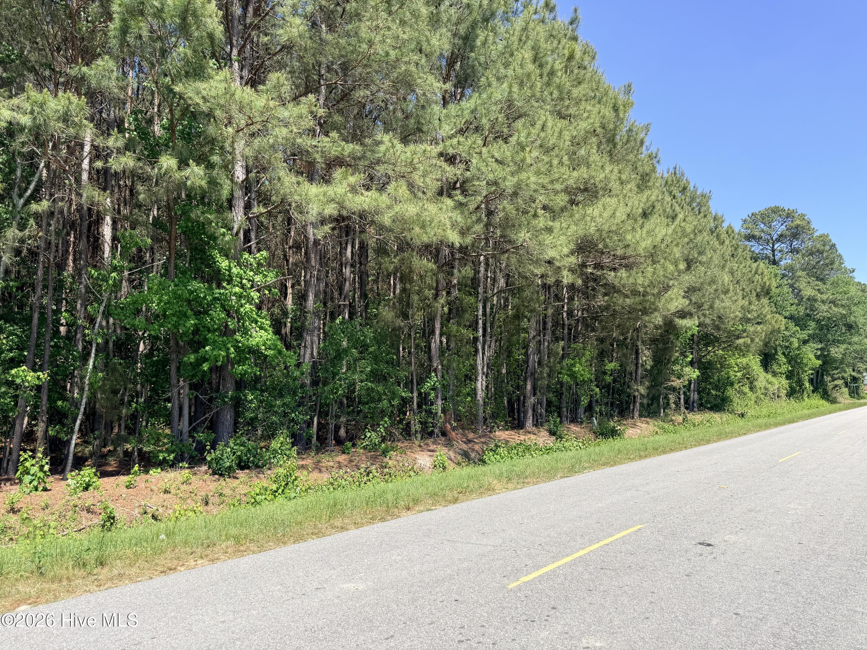 Lot 2 Mt Carmel Church Road, Autryville, NC, 28318