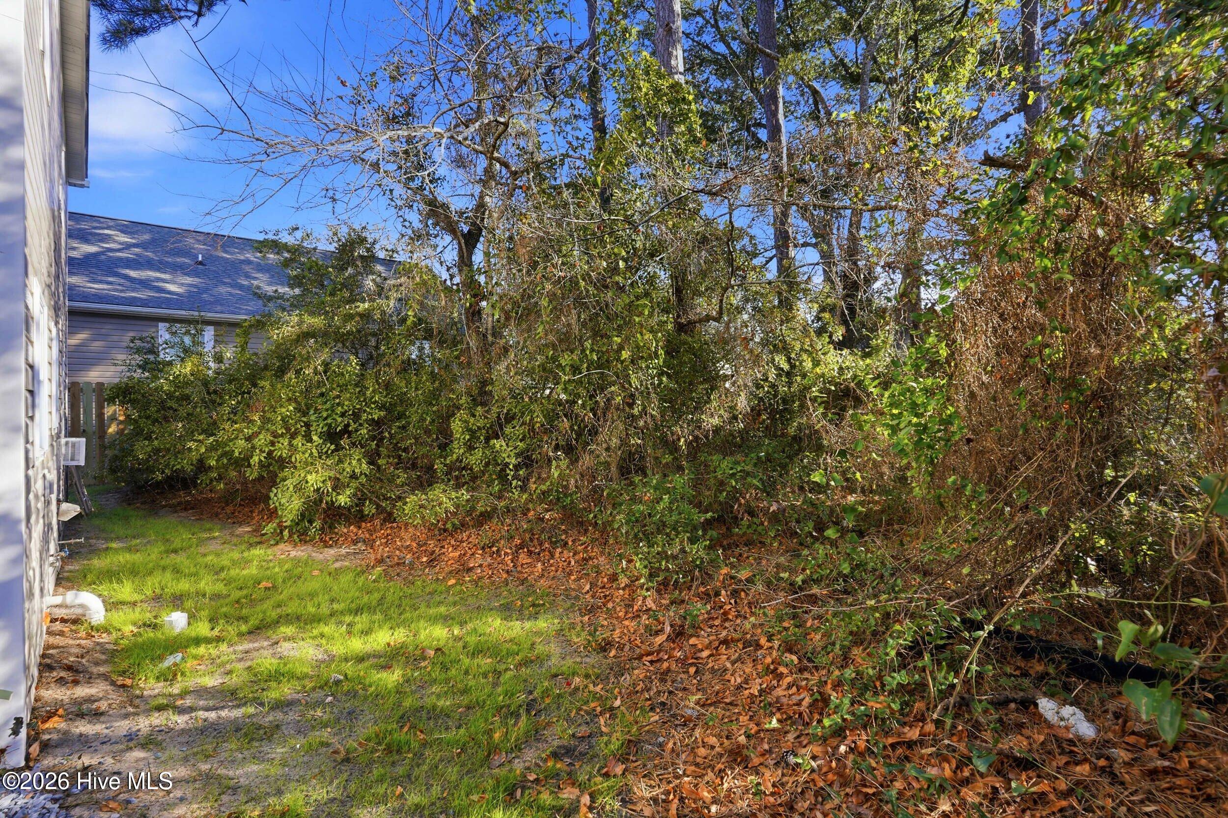 100552223 | Photo 32