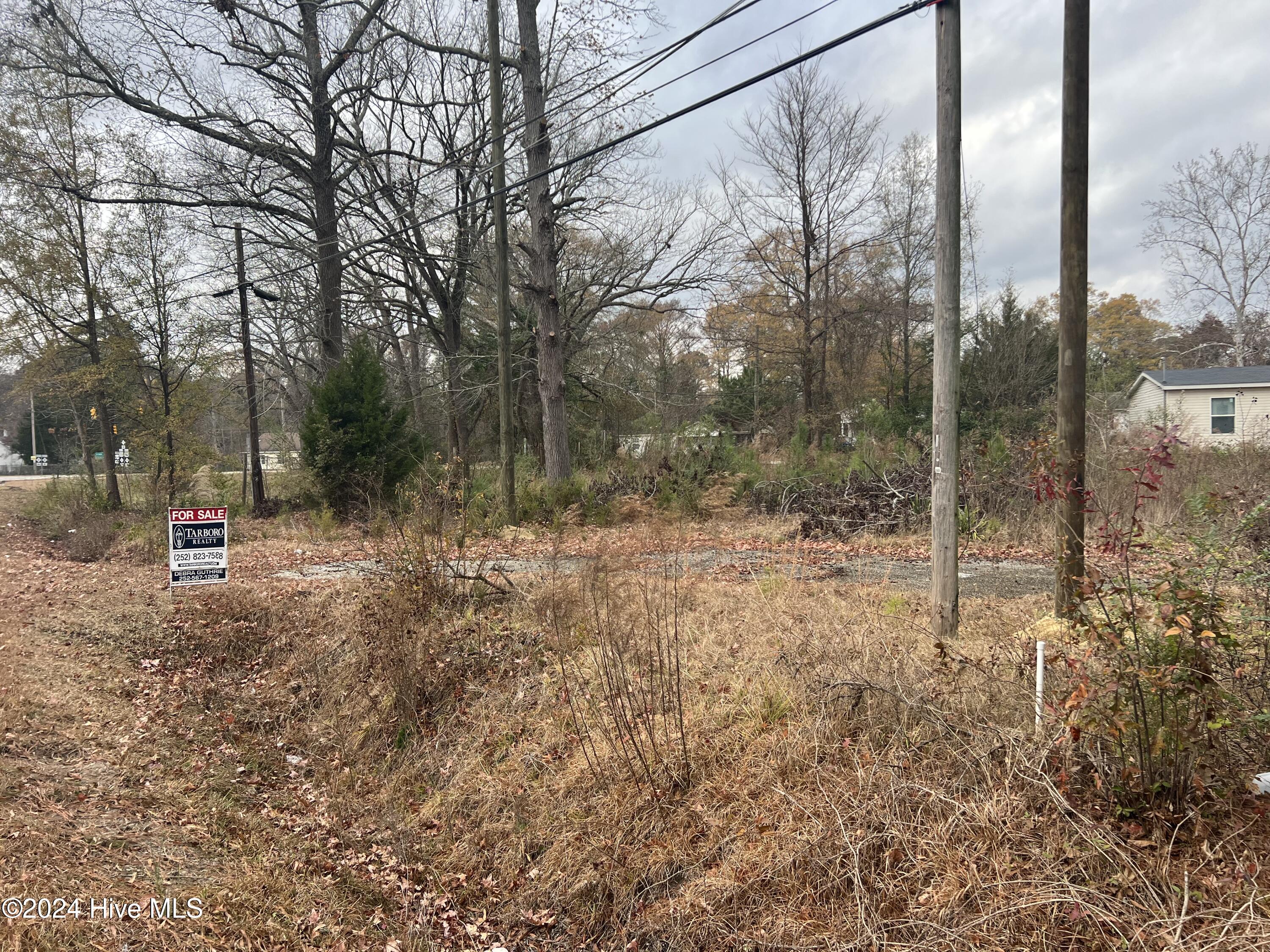 103 Greenwood Boulevard