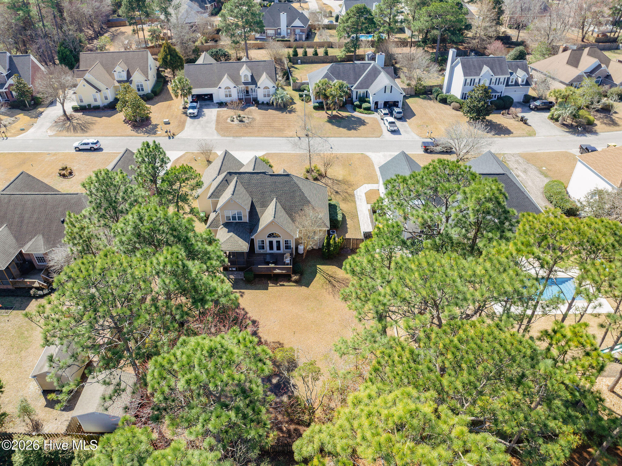 100556784 | Photo 63