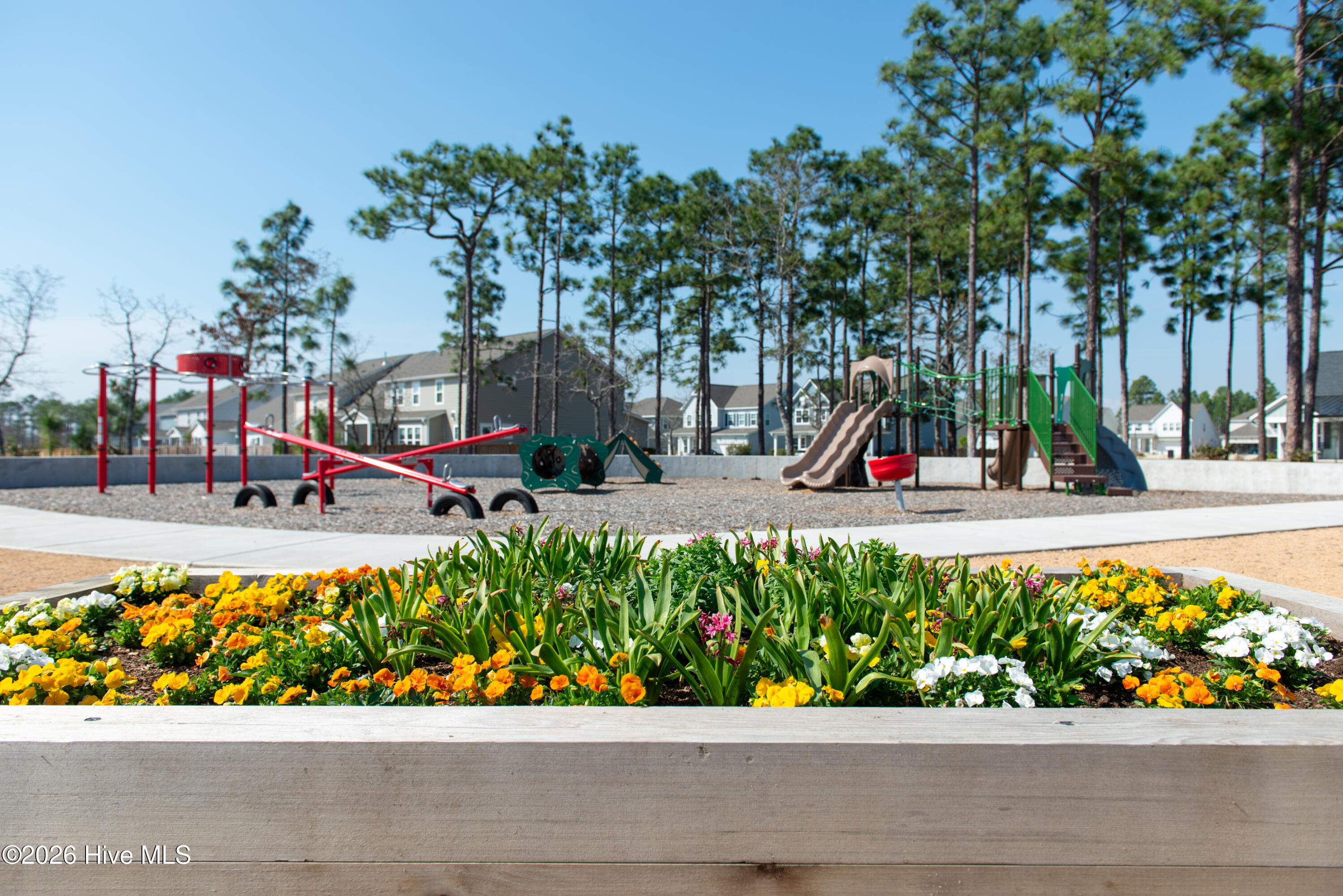 100560299 | Photo 130