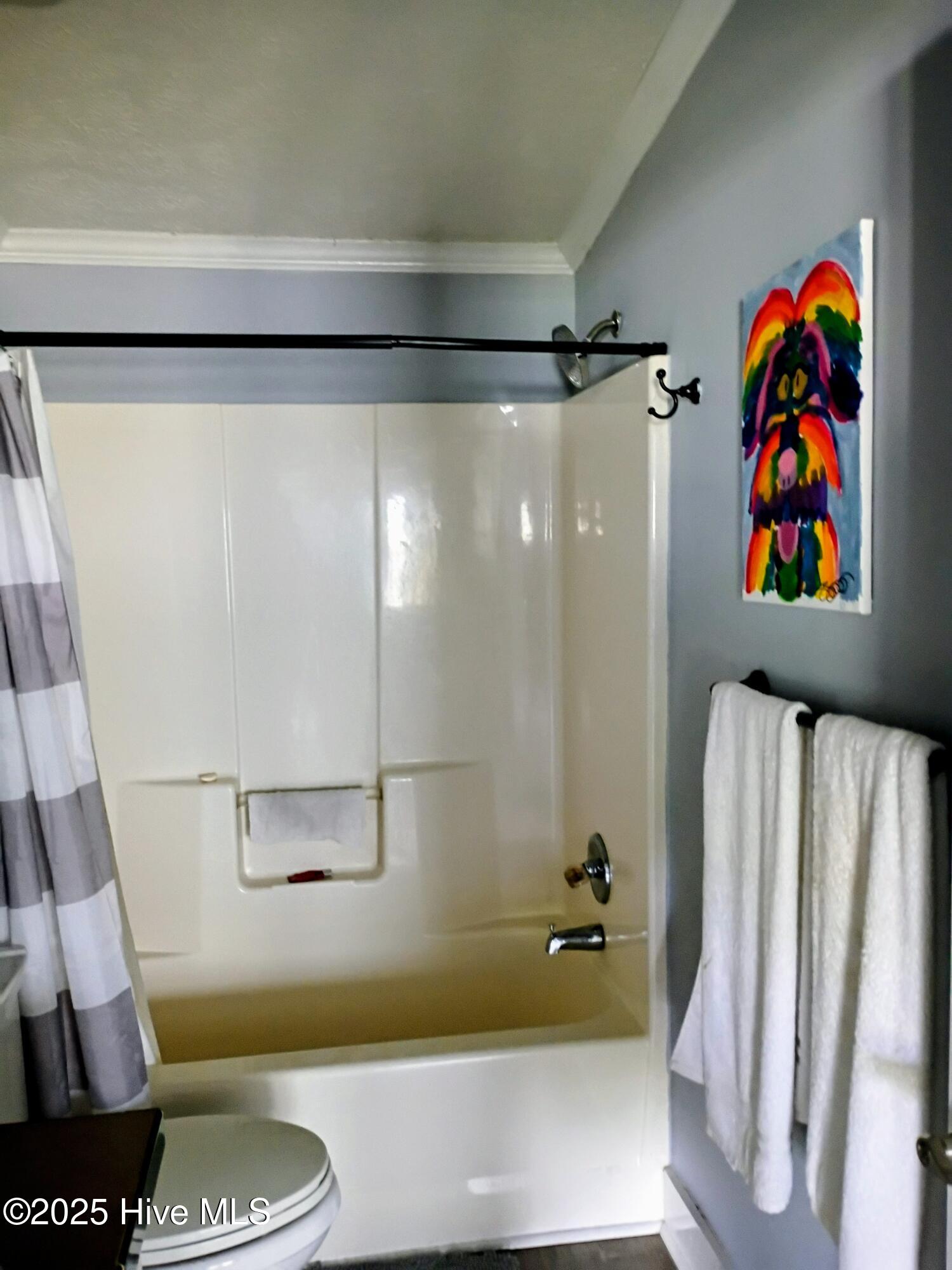 100519536 | Photo 24