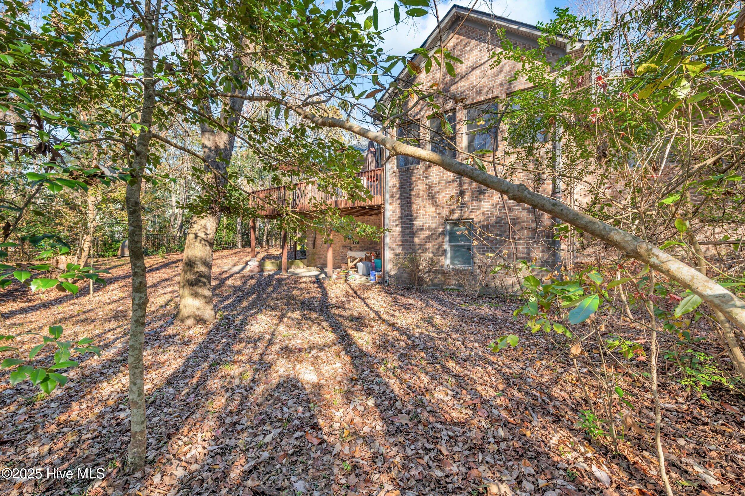 100548382 | Photo 35