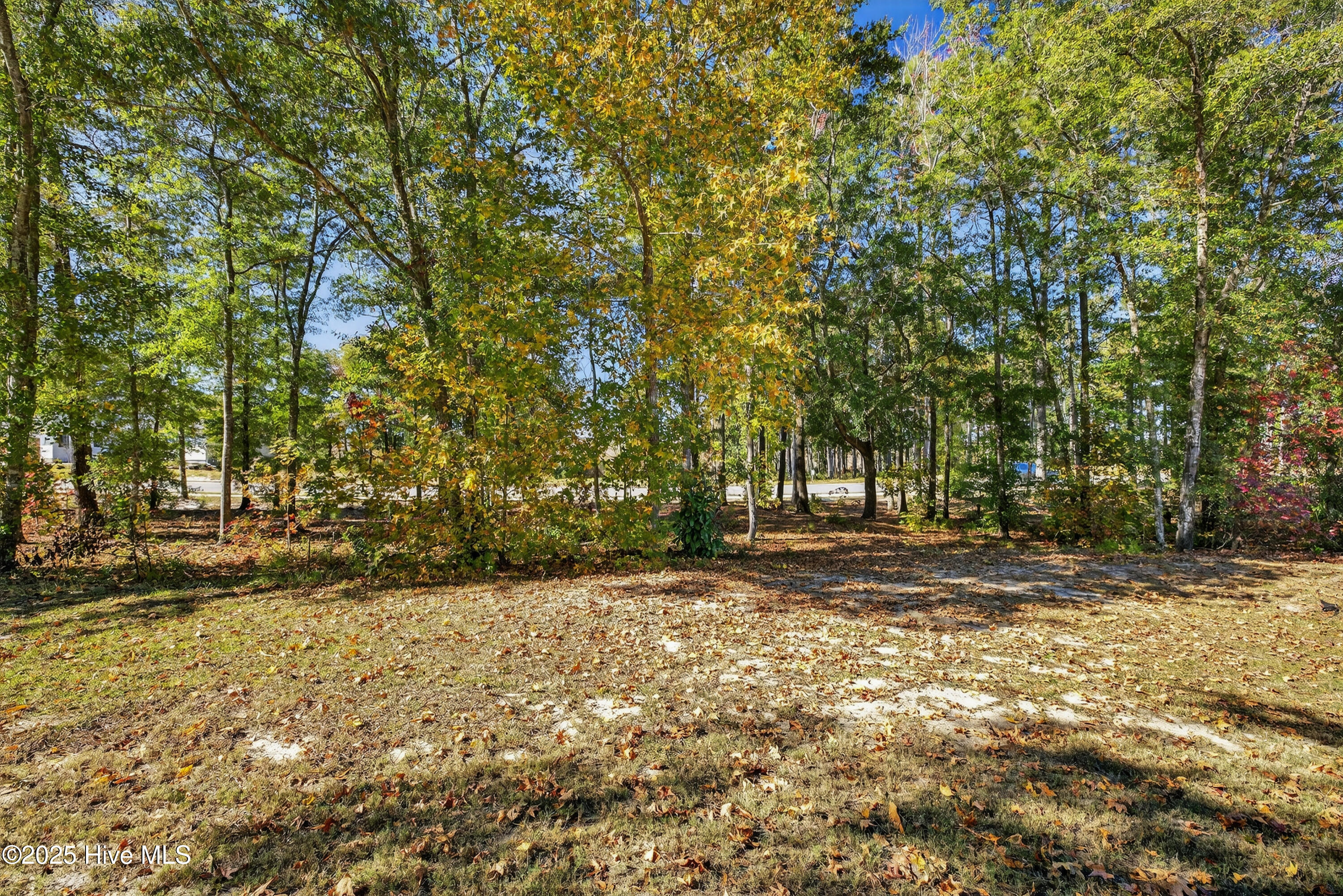 100541672 | Photo 11