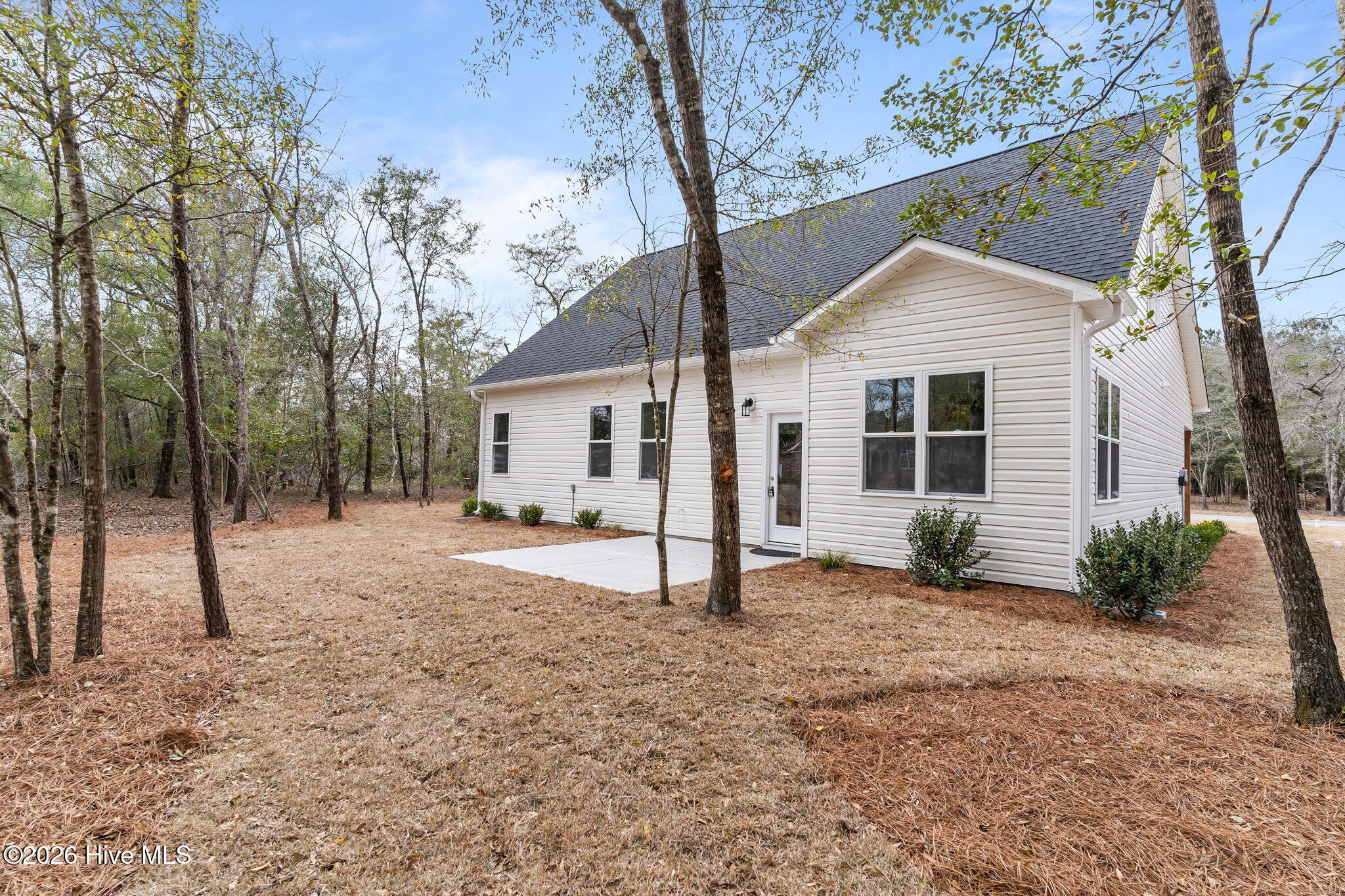 100558259 | Photo 44