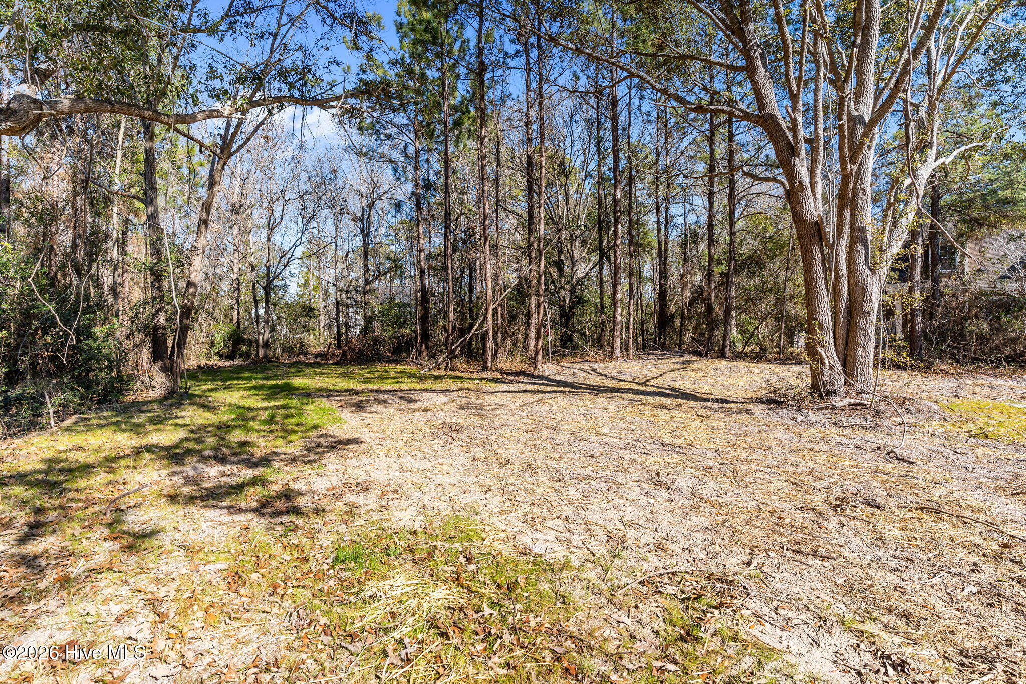 100528695 | Photo 47