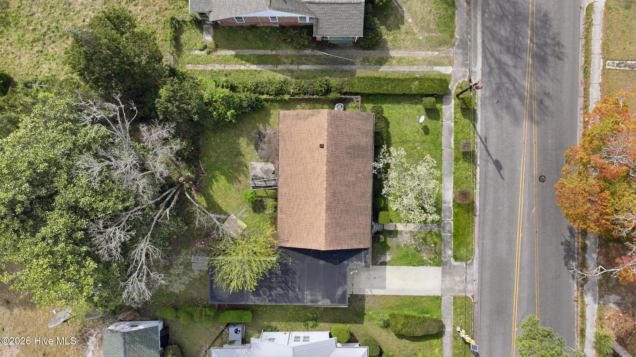 100561541 | Photo 19