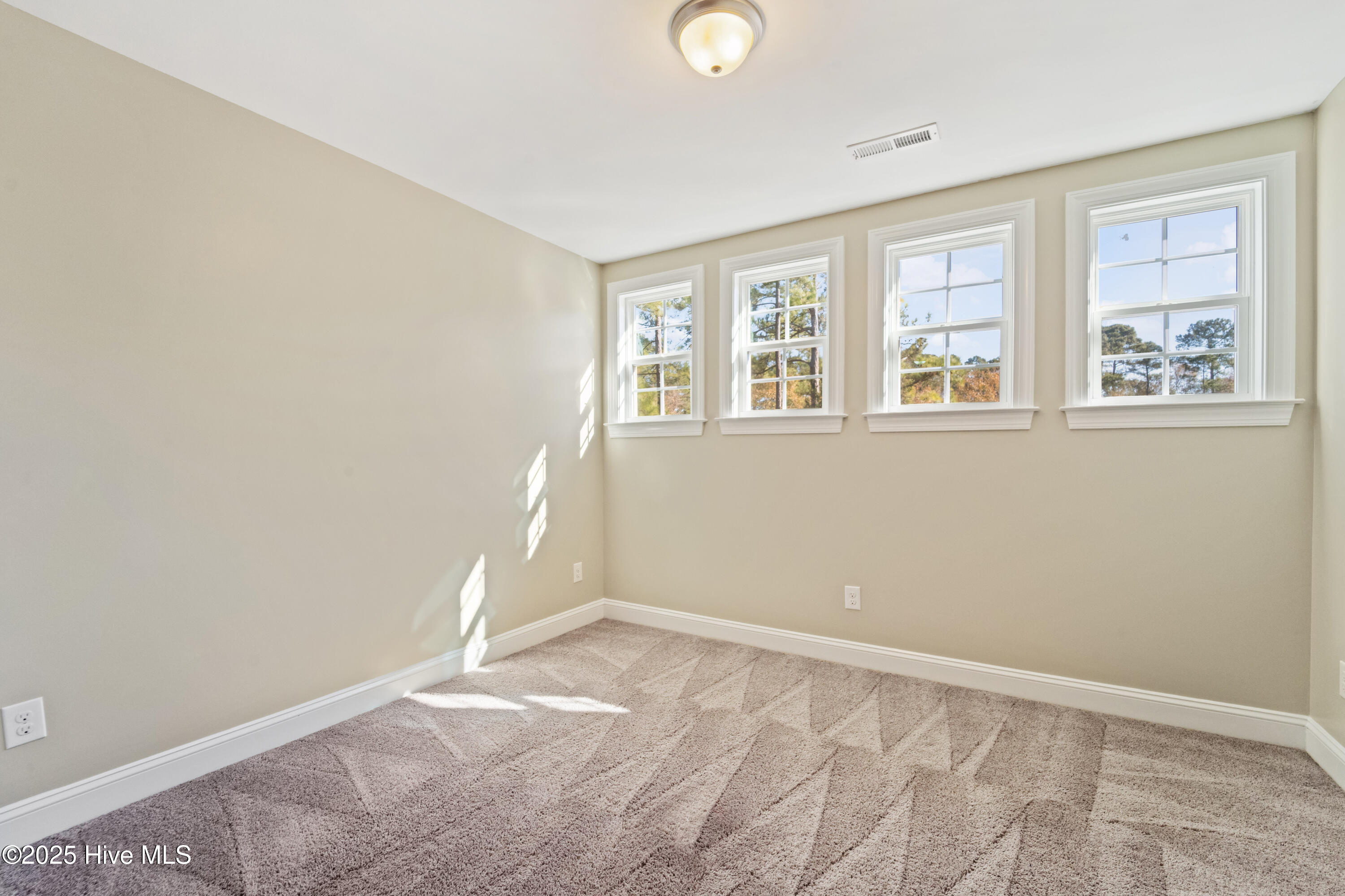 100546370 | Photo 15