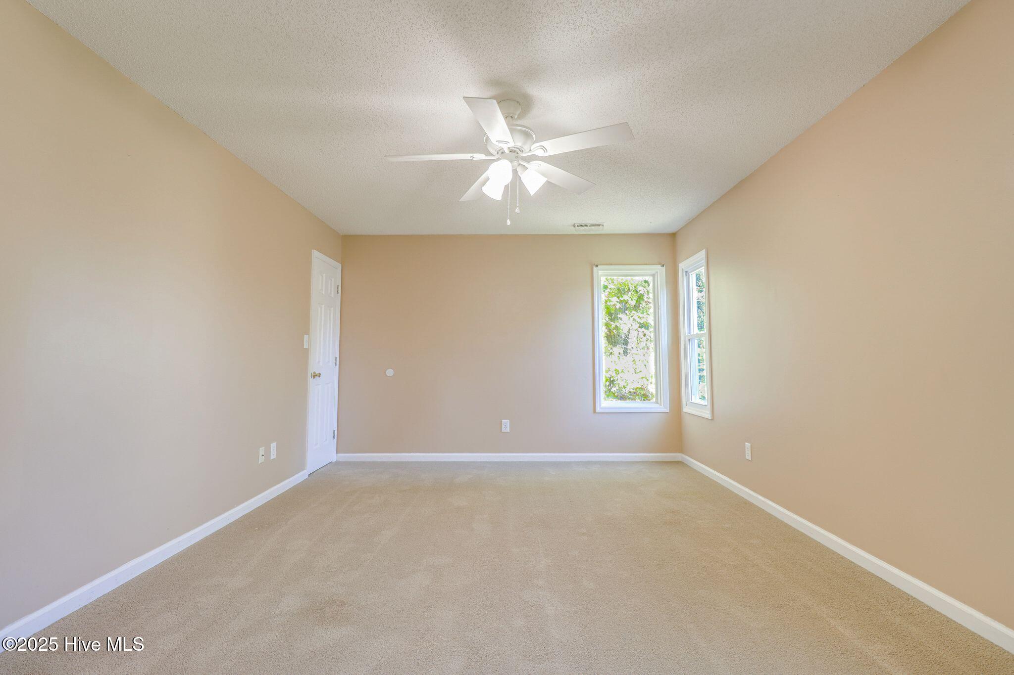 100541219 | Photo 16