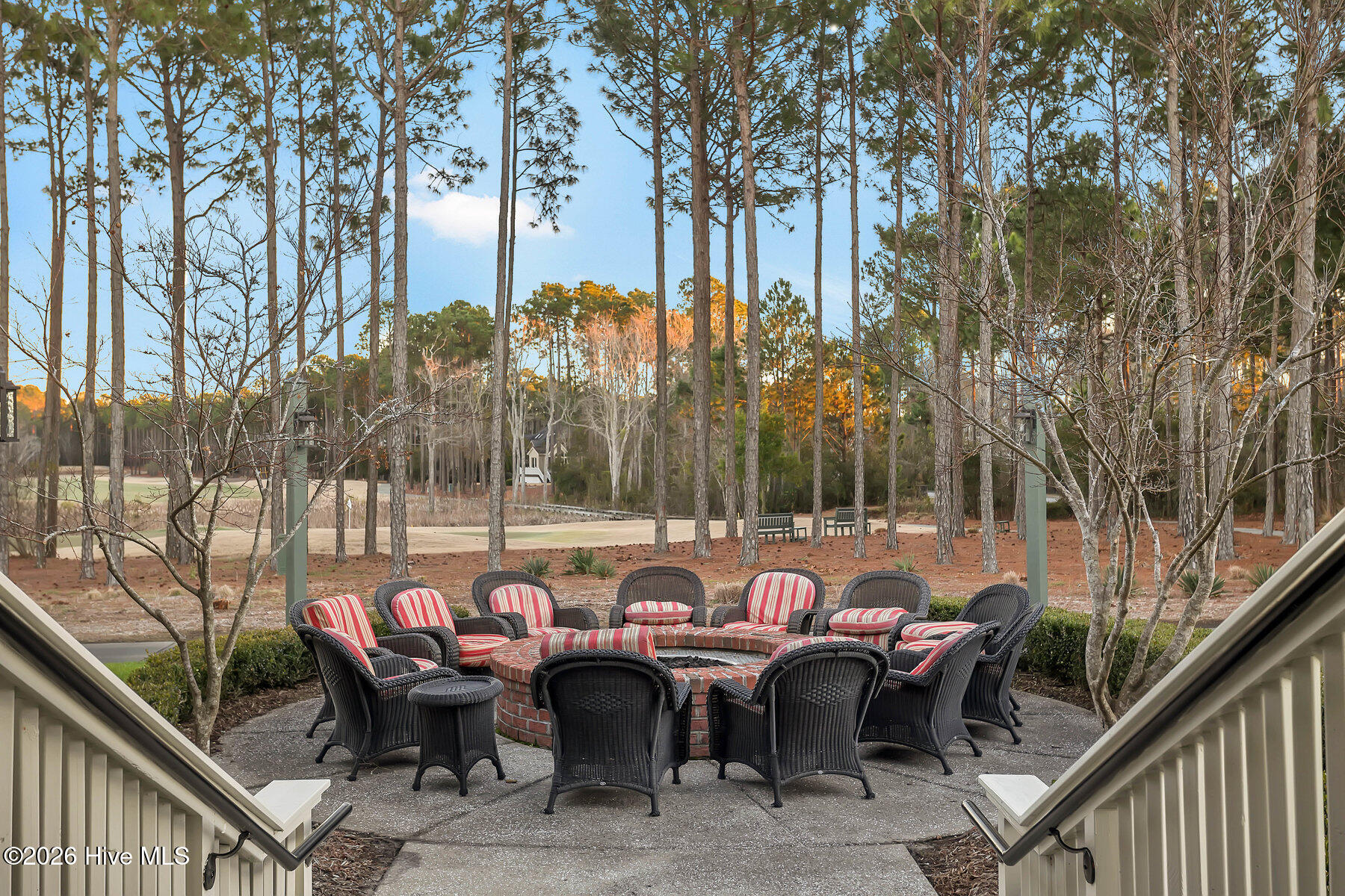 100558042 | Photo 94