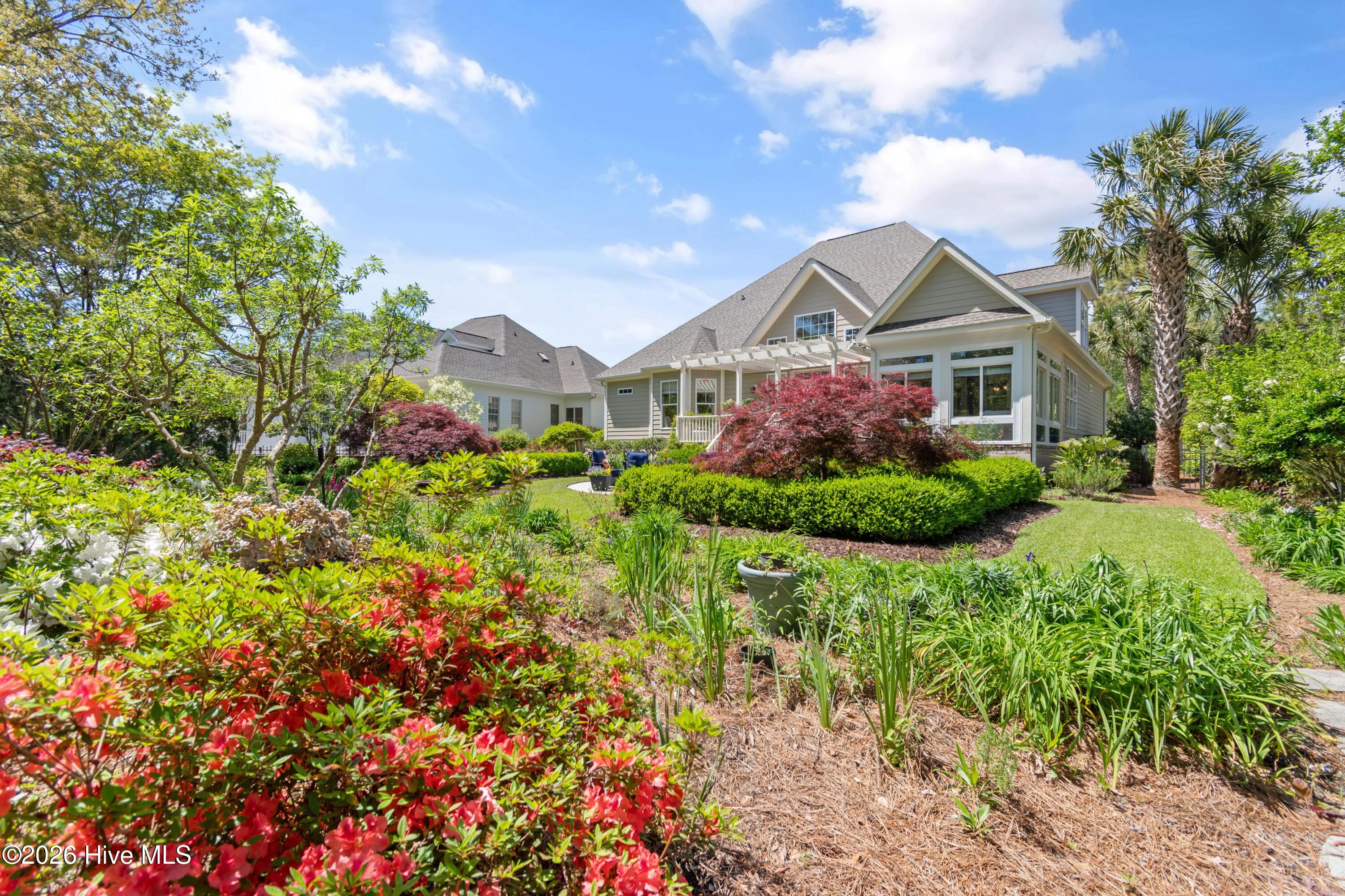 100567309 | Photo 59